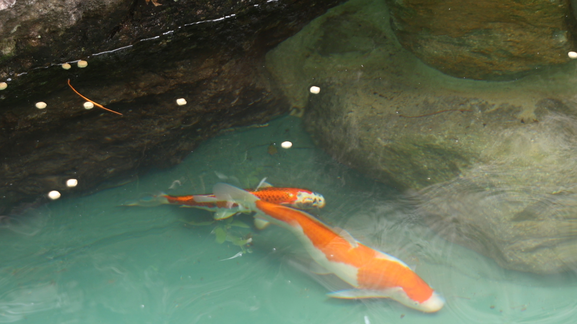 ◇エントランス