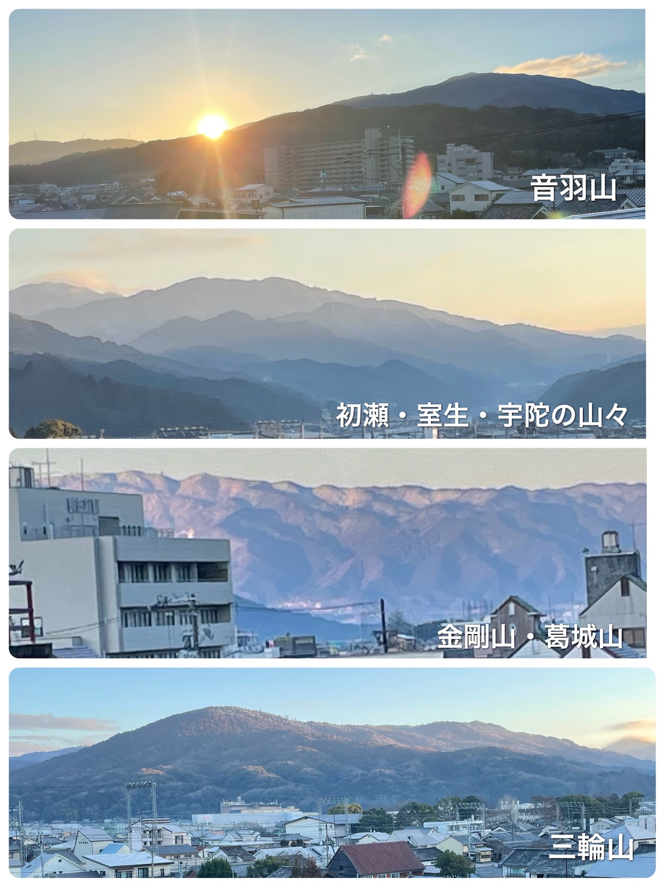 屋上からの展望