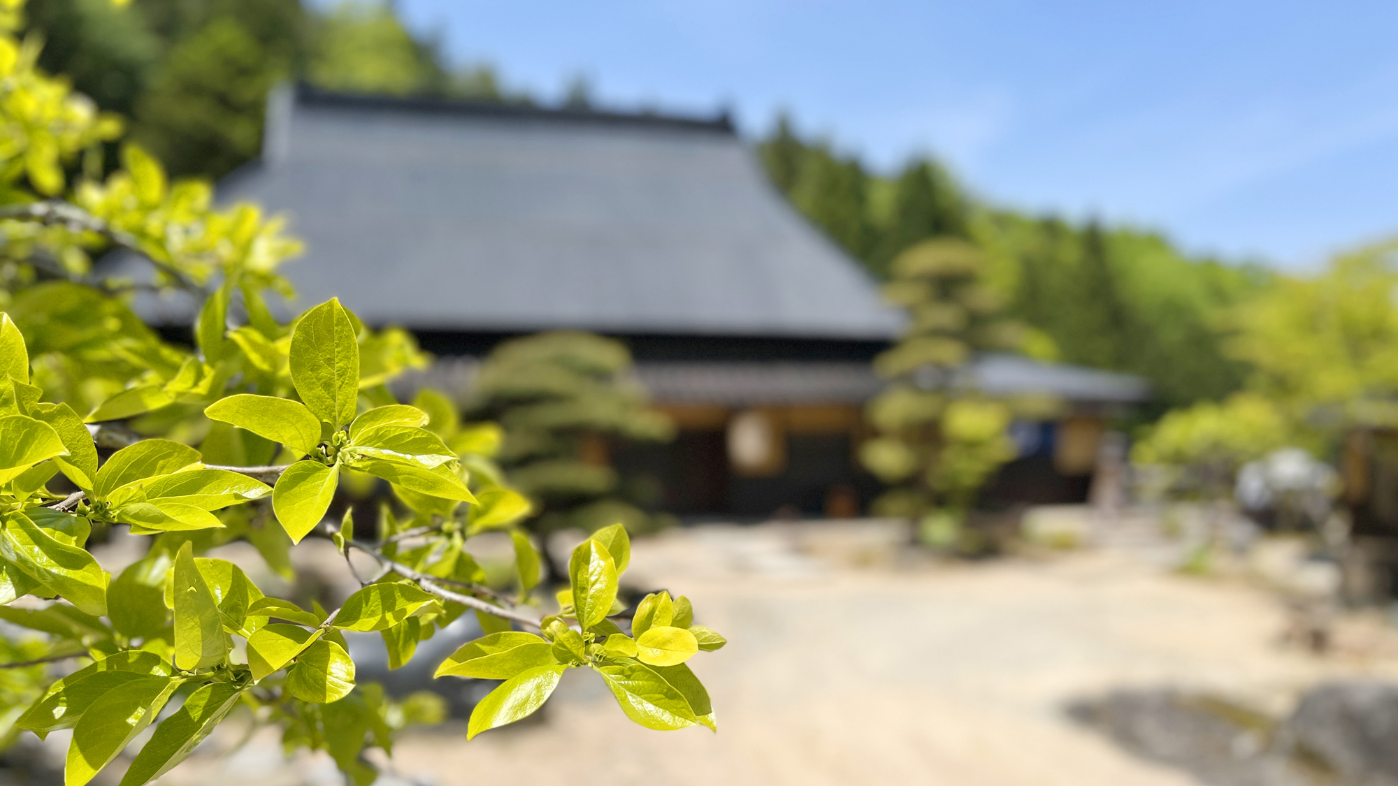 【外観】風景