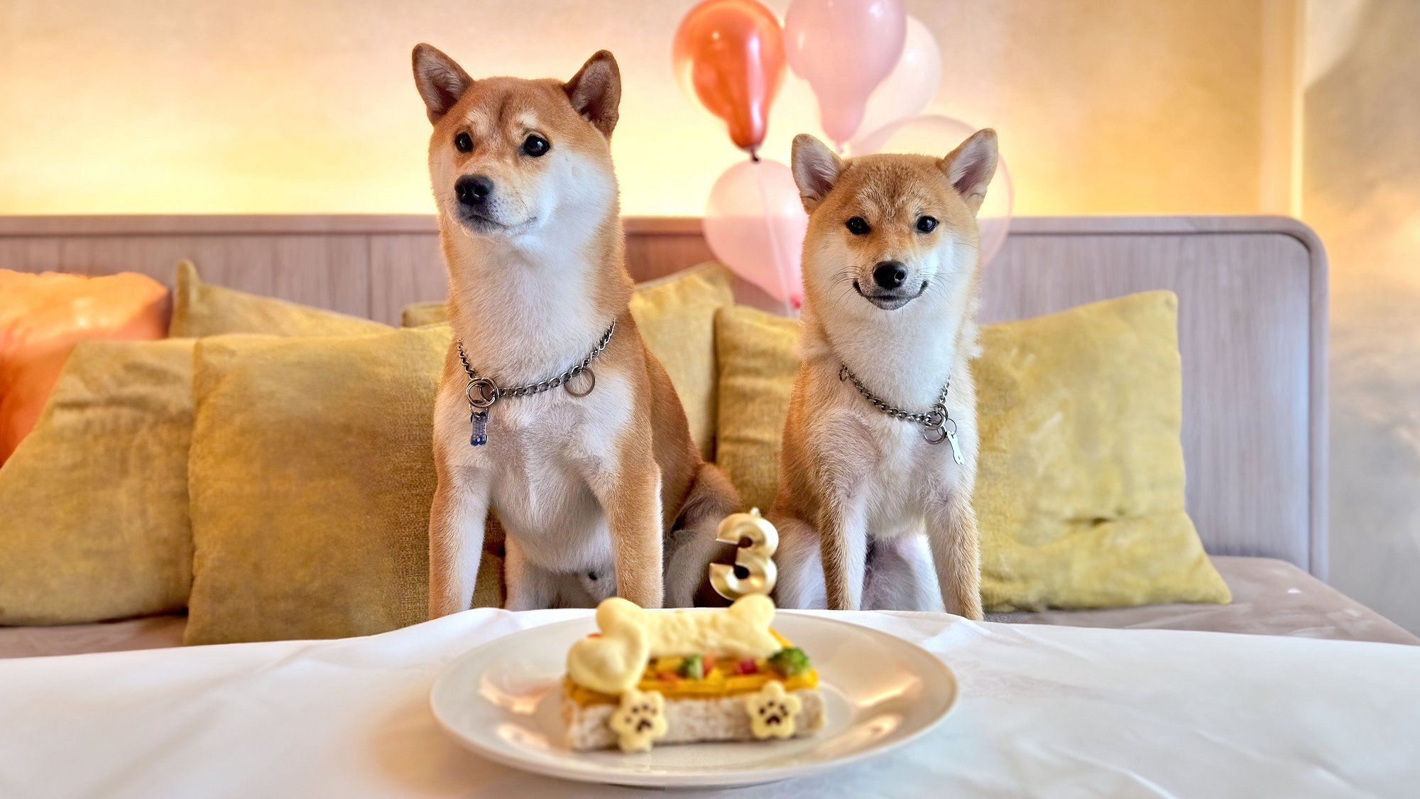 【わんダフルアニバーサリー・朝食付】大切な記念日や特別なお祝いに！愛犬用ケーキ付