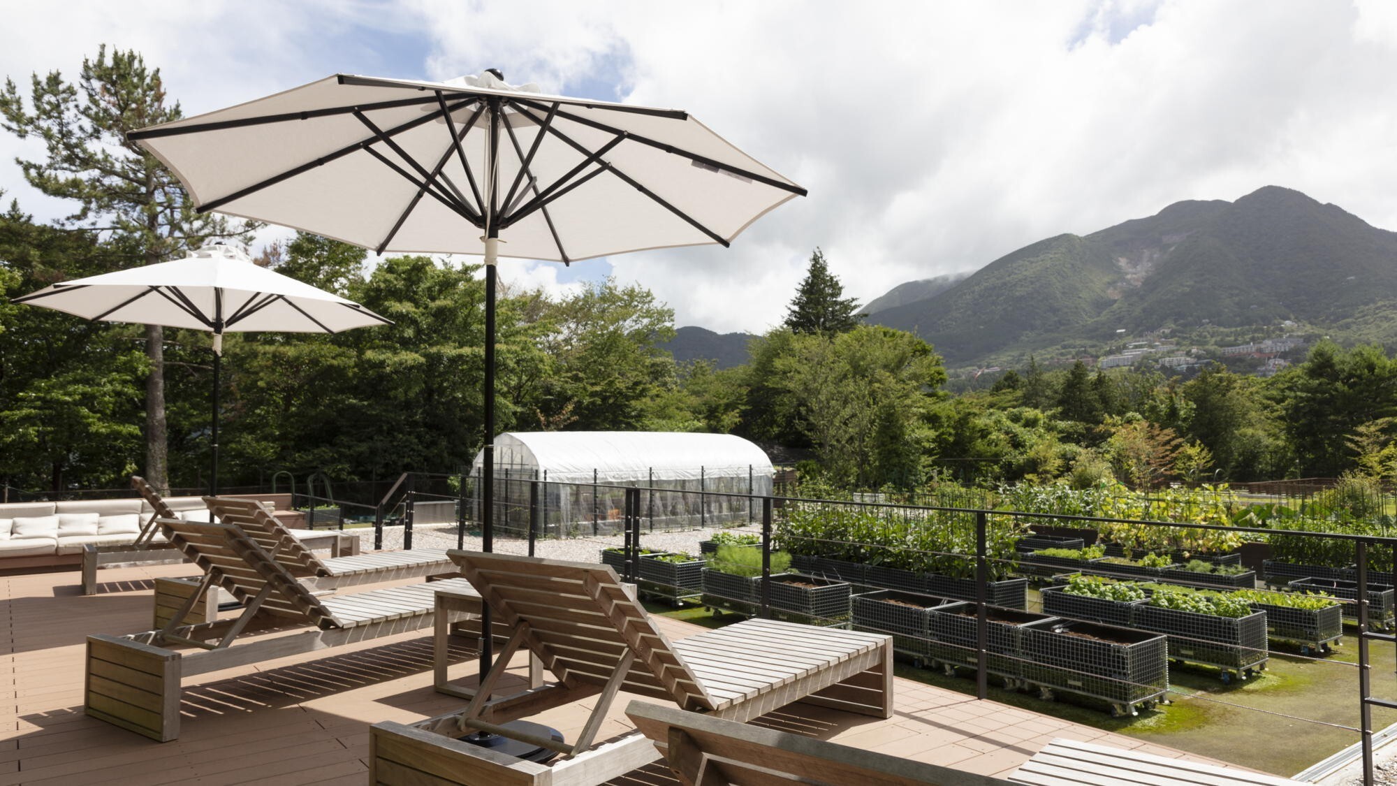 【フォレストテラス】