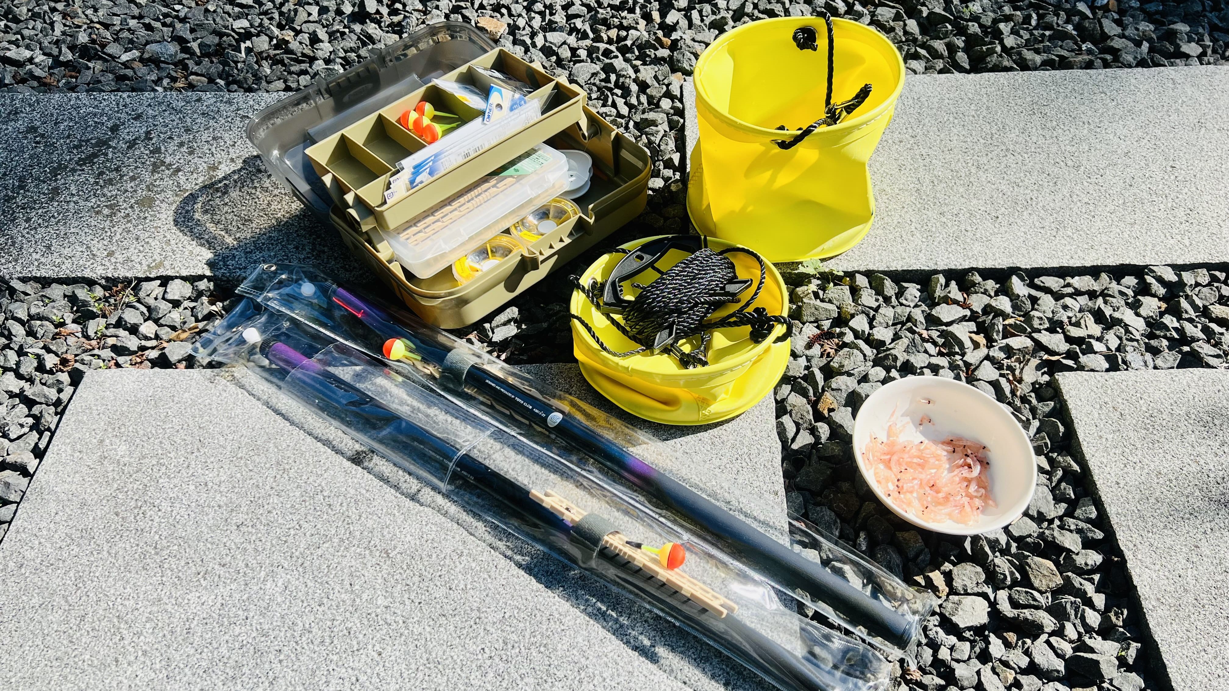 初心者の方歓迎！【港釣り無料体験】（手ぶらOK）