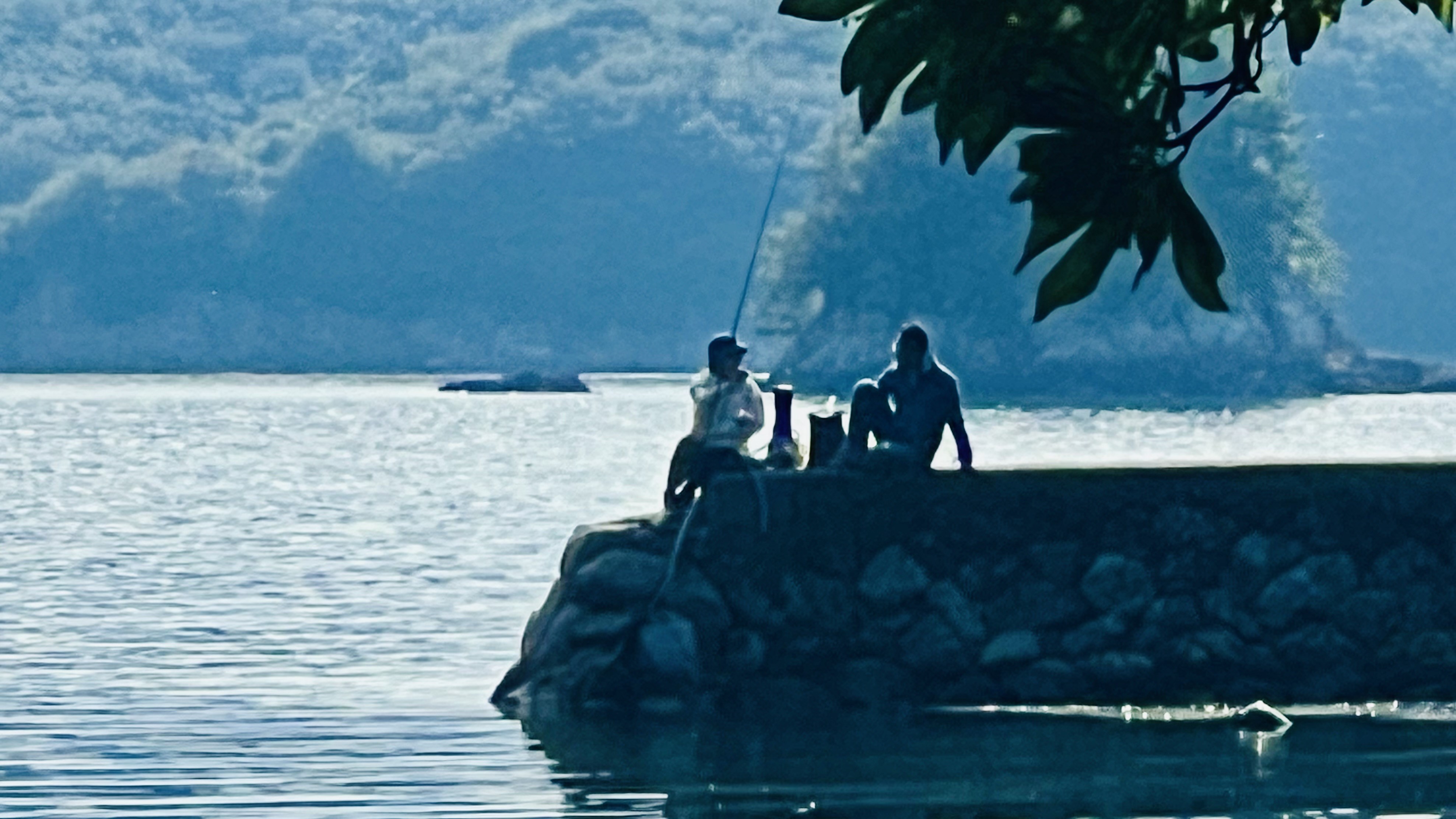 初心者の方歓迎！【港釣り無料体験】（手ぶらOK）