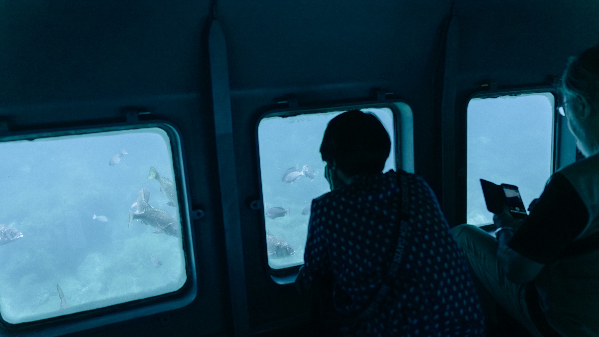 【周辺施設】あまんぼう