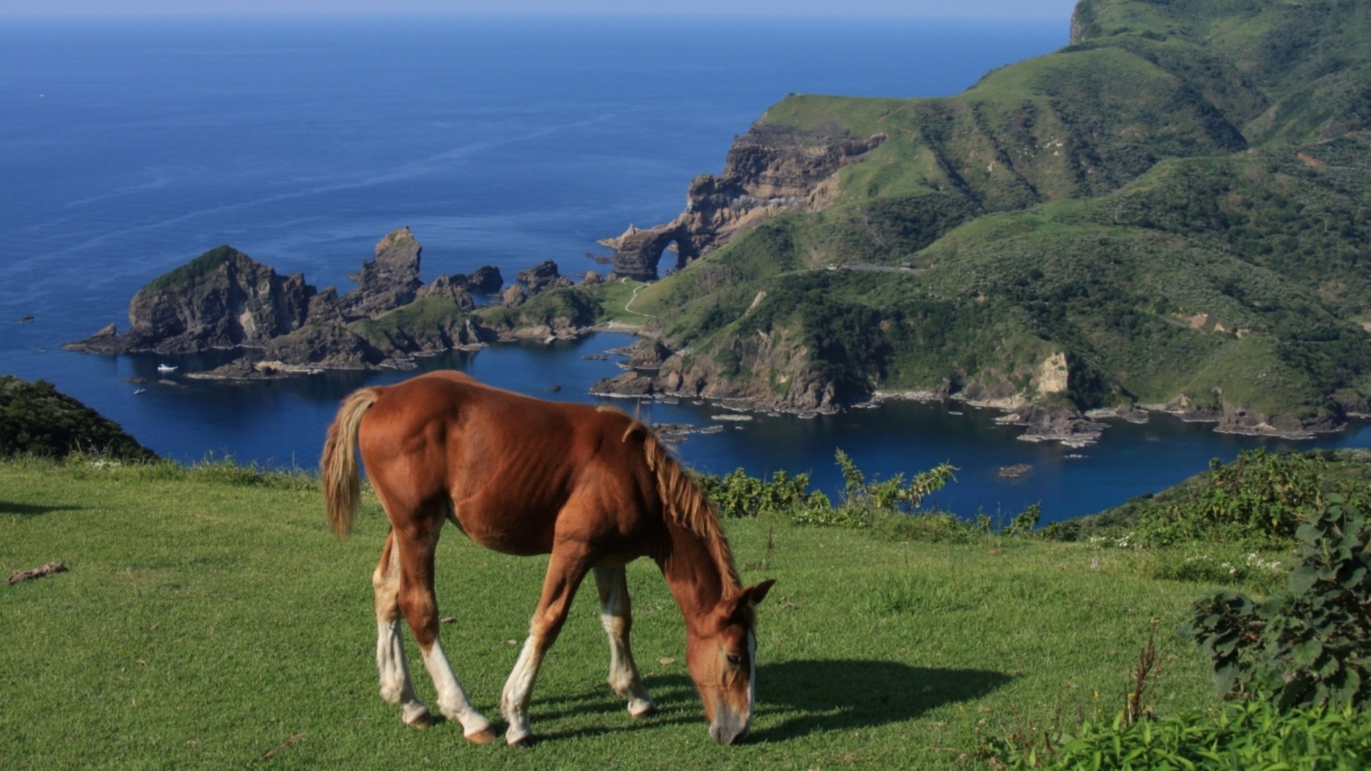 【周辺観光】赤尾展望所
