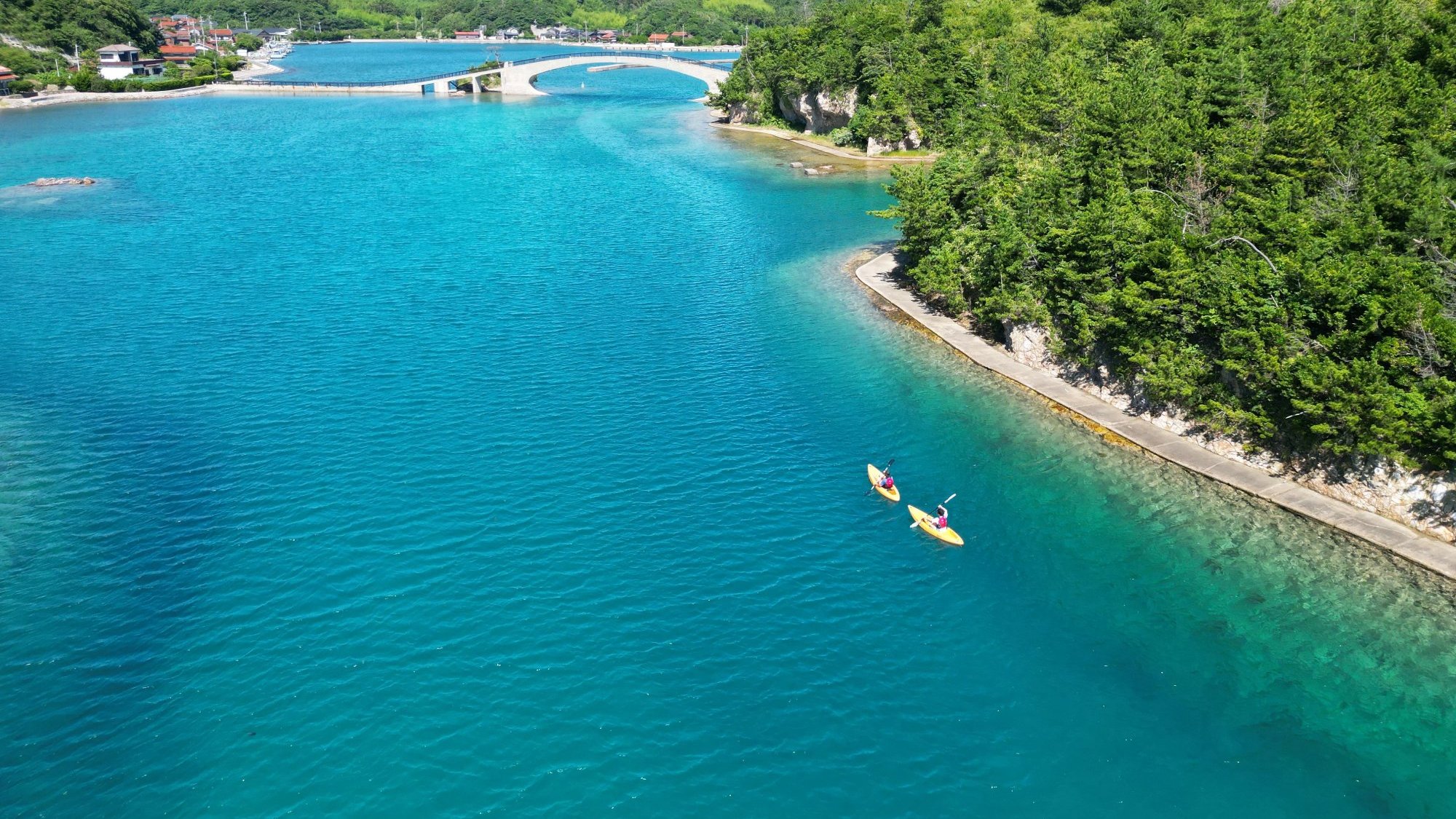 【アクティビティ】シーカヤックツアー