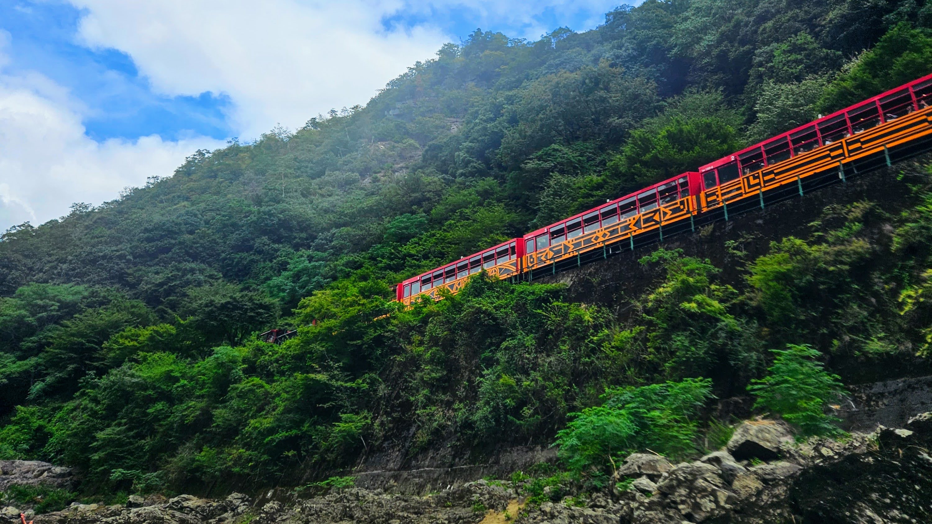 周辺施設・四季折々の渓谷美を楽しめる「嵯峨野トロッコ列車」