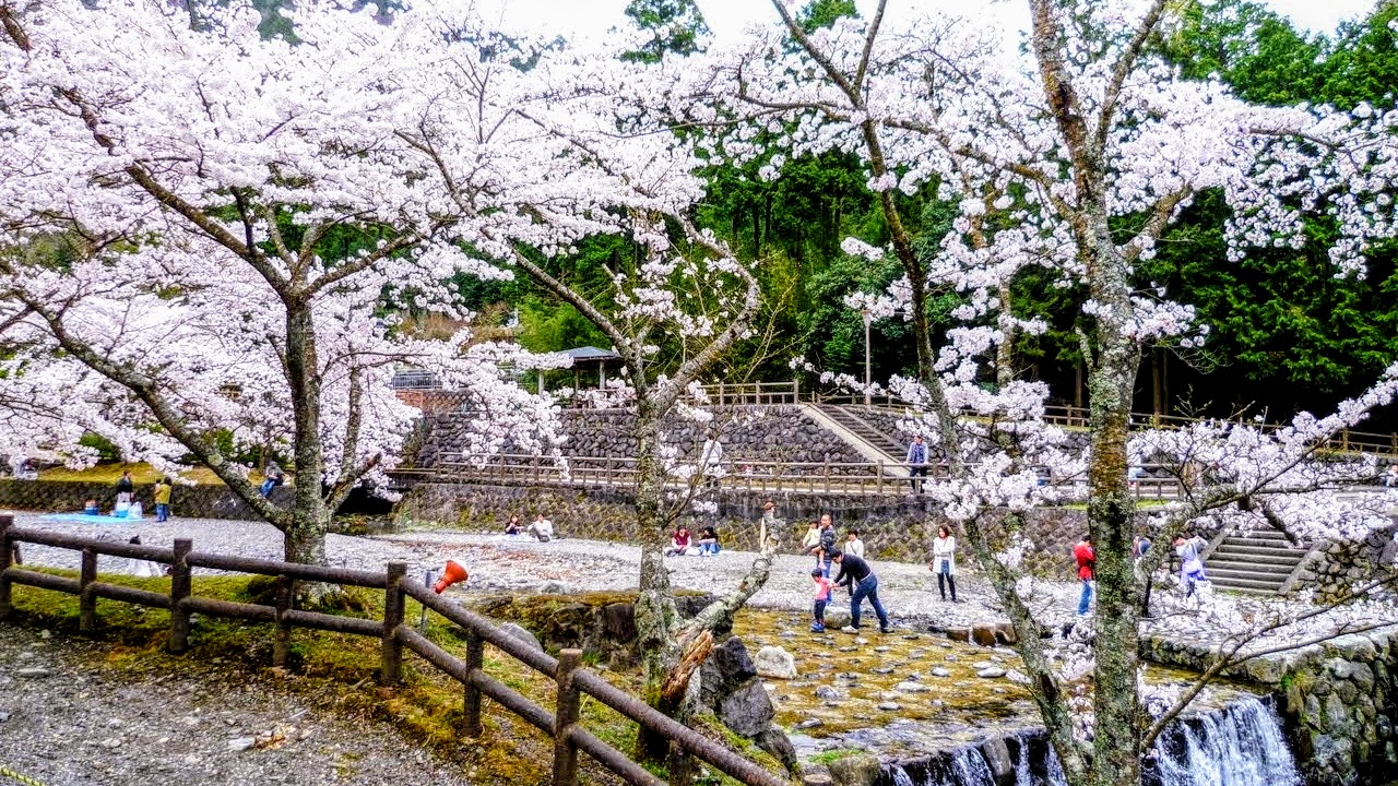 周辺施設「七谷川野外活動センター」ファミリーや教育旅行にも最適で、子どもたちの感性を育む人気スポット