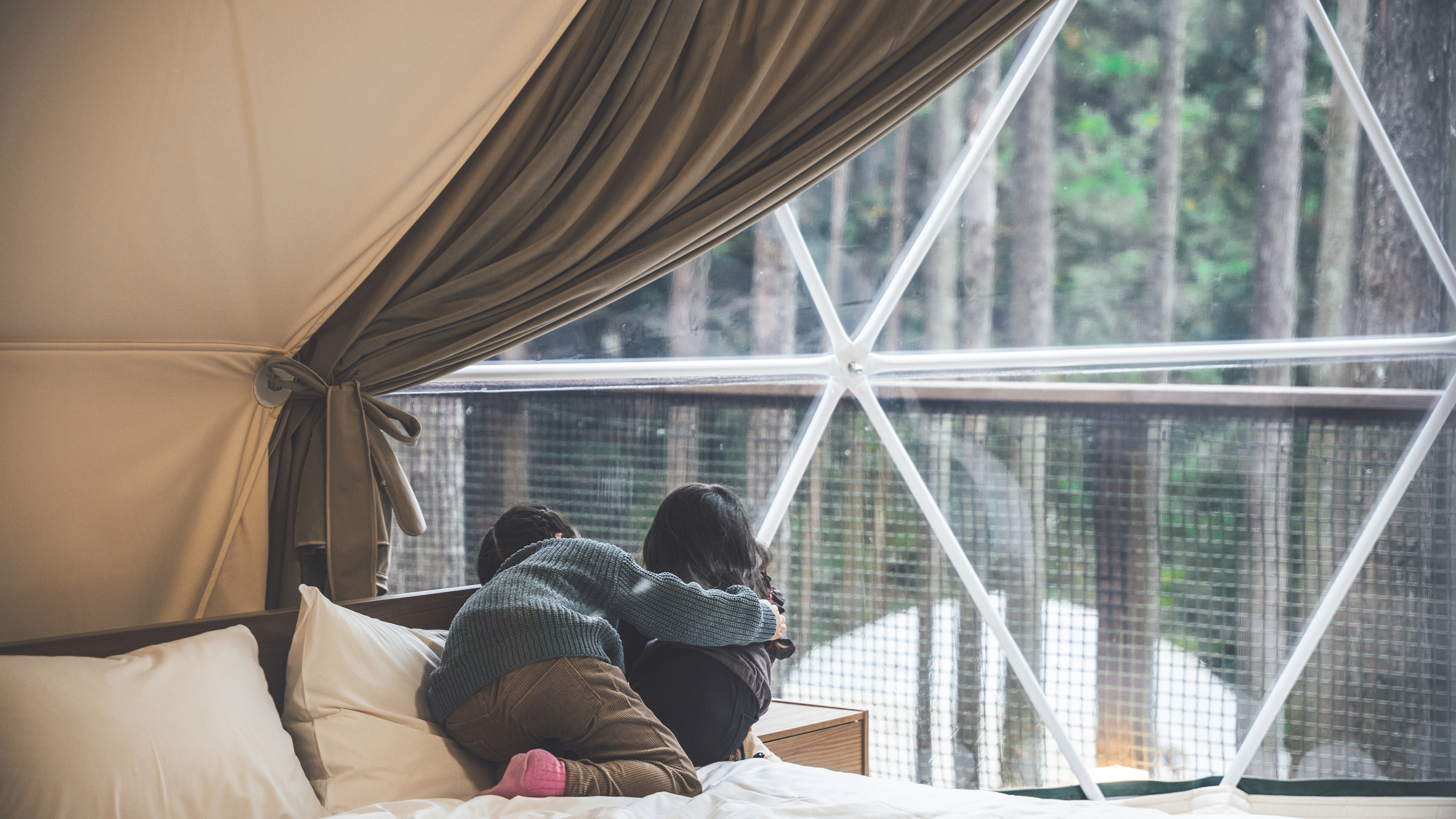 森の中での滞在はとっておきの思い出に。