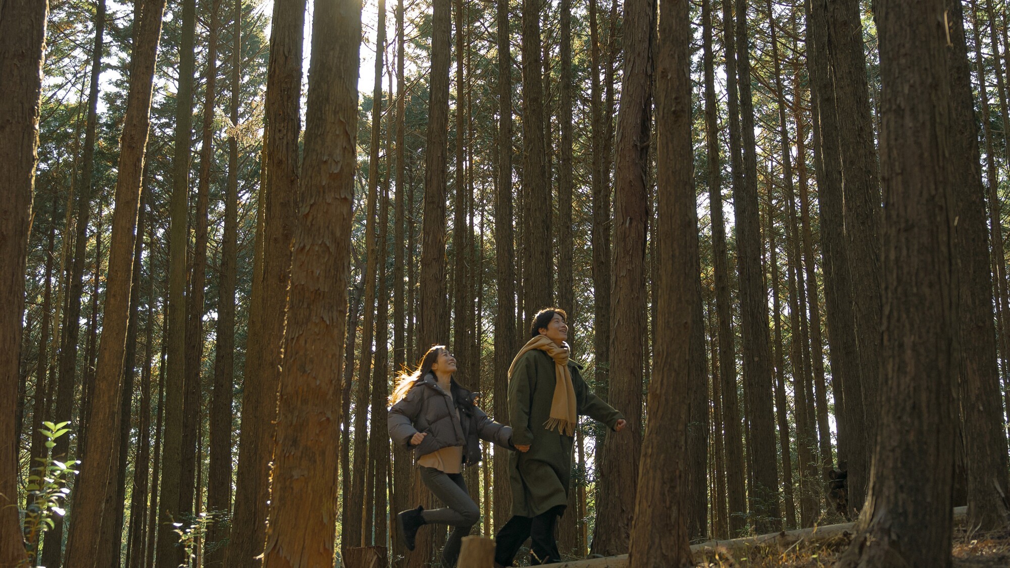 エリア内は自然でいっぱい。