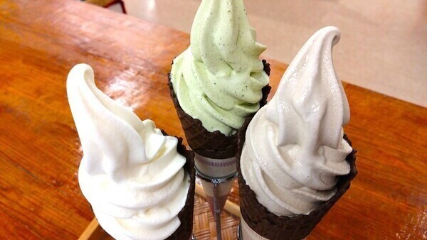  反射炉物産館「たんなん」ソフトクリーム
