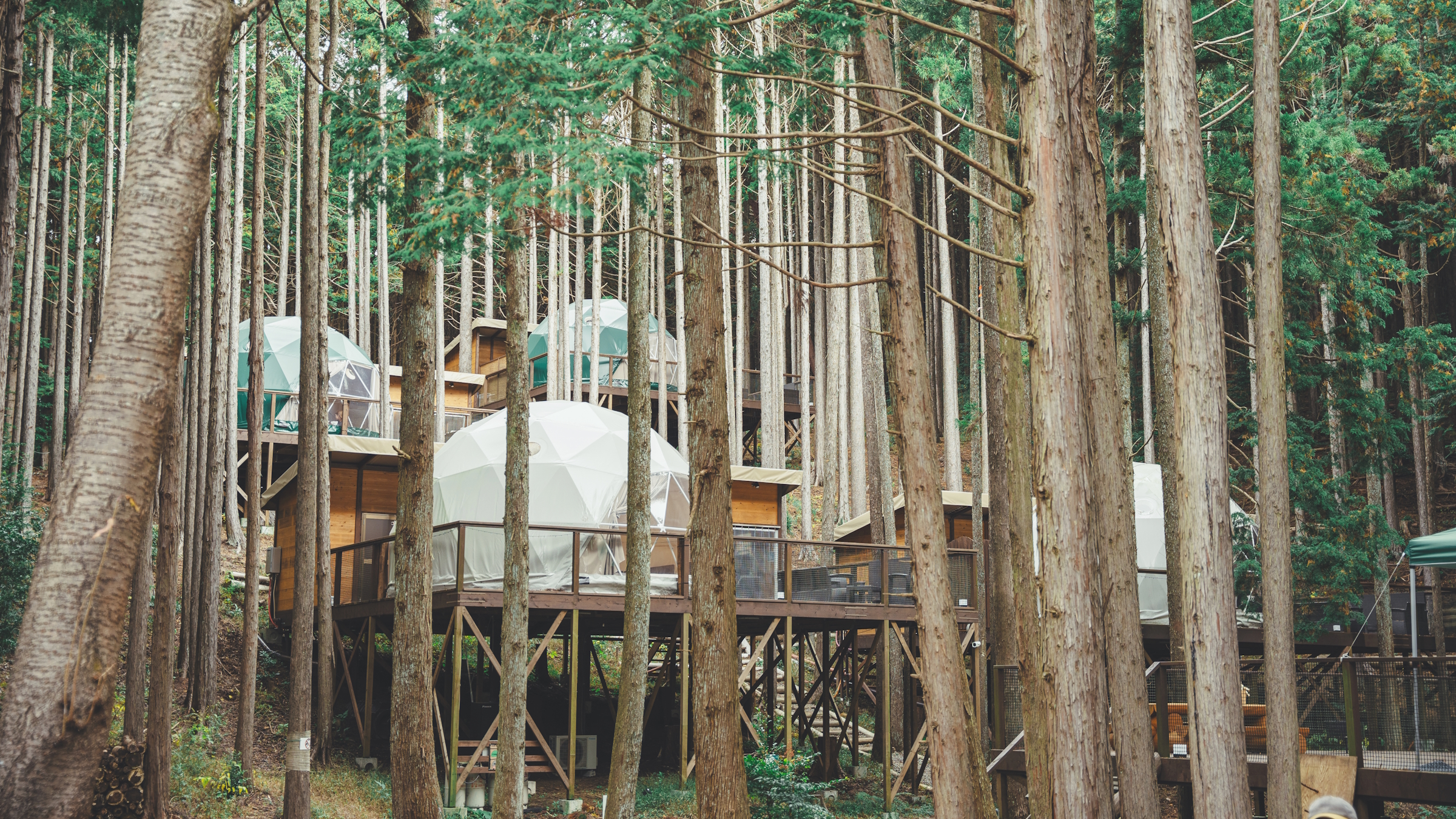 森に潜むドームテントは隠れ家のよう。