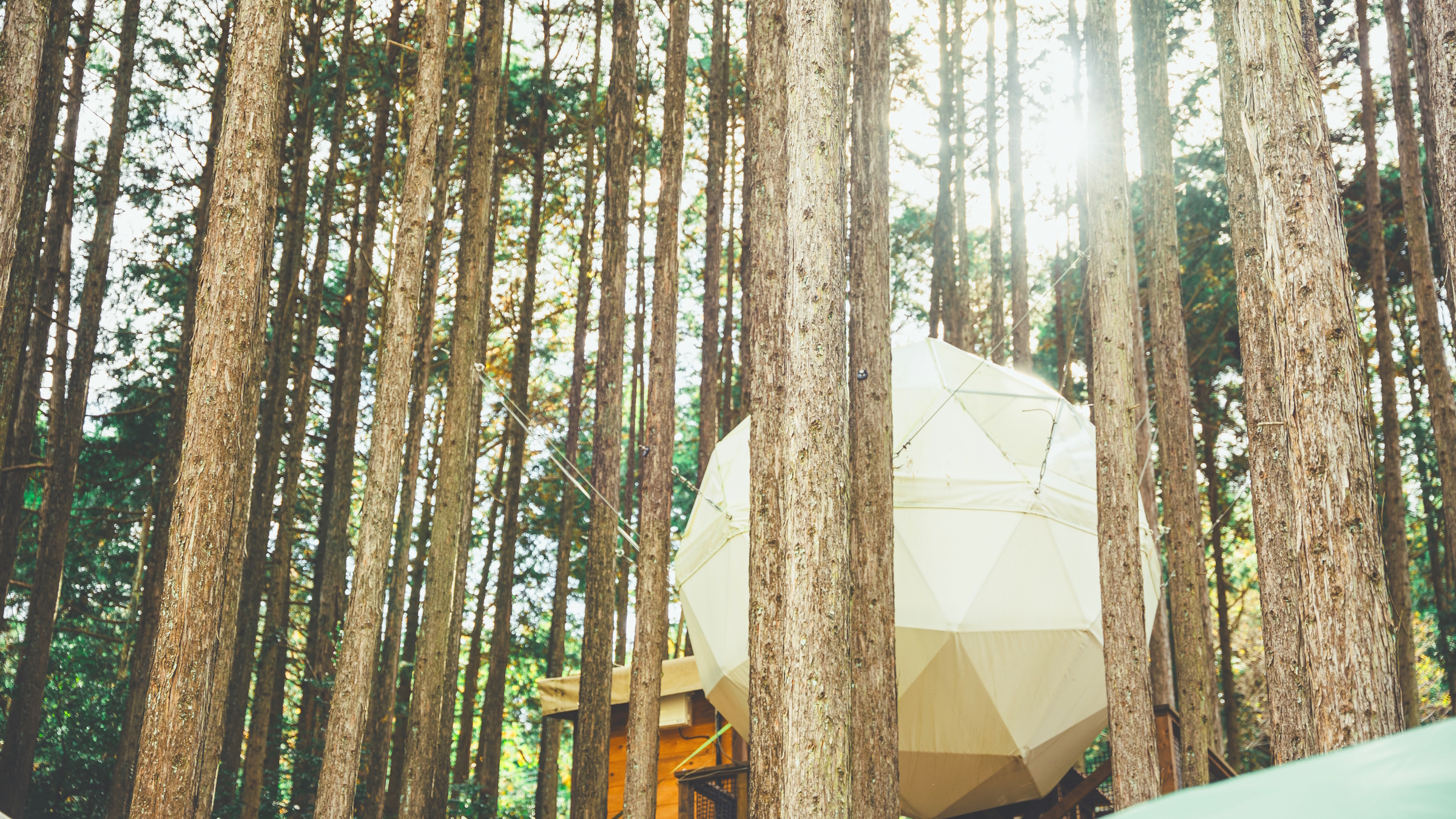 【球体テント】Moon　外観