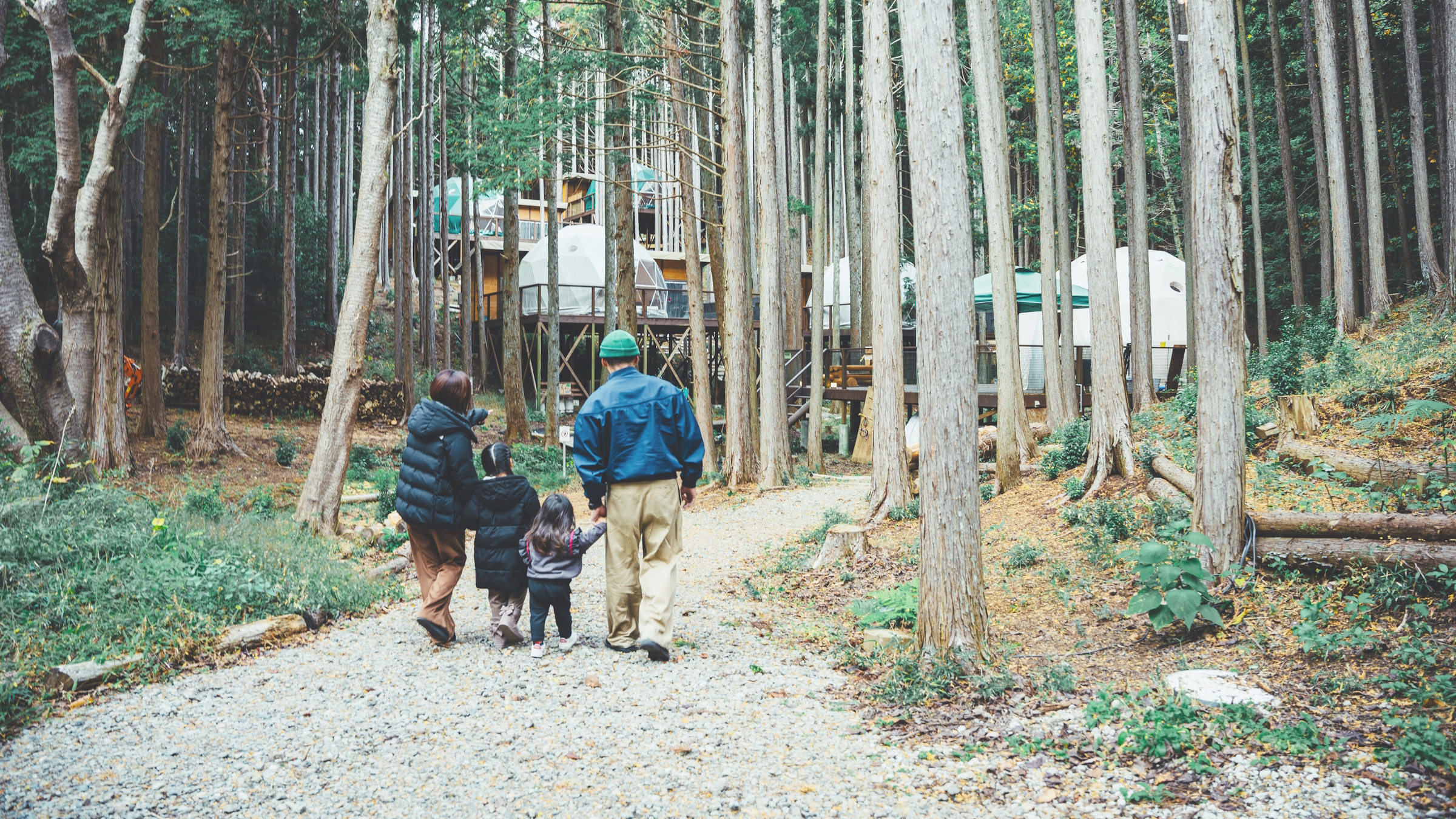 森の中をお散歩。