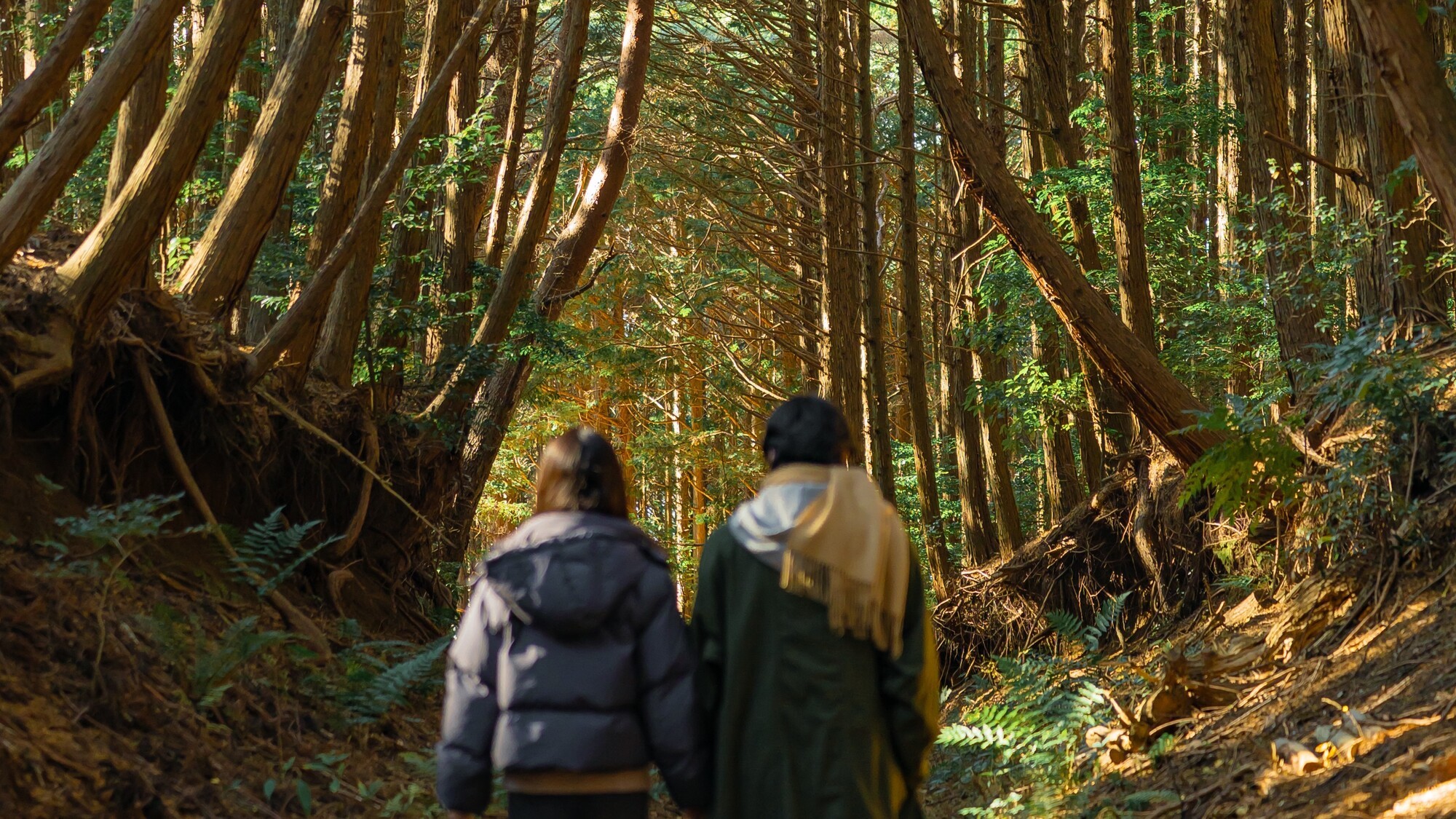 エリア内は自然でいっぱい。