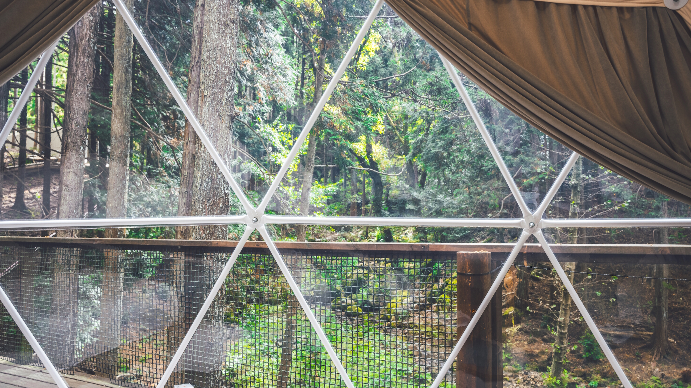 スタンダードドームテント　部屋からの風景