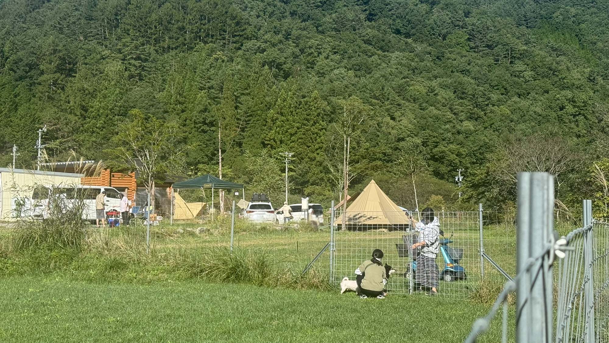 ・【ドッグラン】都会の公園とはひと味違う大自然の中でめいっぱい遊べます