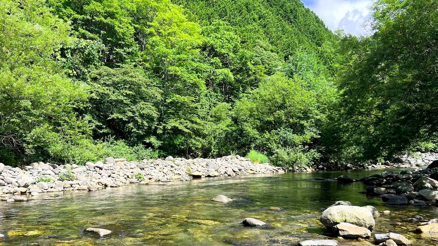 ・【秋神川】キャンプ場のすぐ脇にある「秋神川」では、川遊びやアマゴ釣りなどの体験も可能