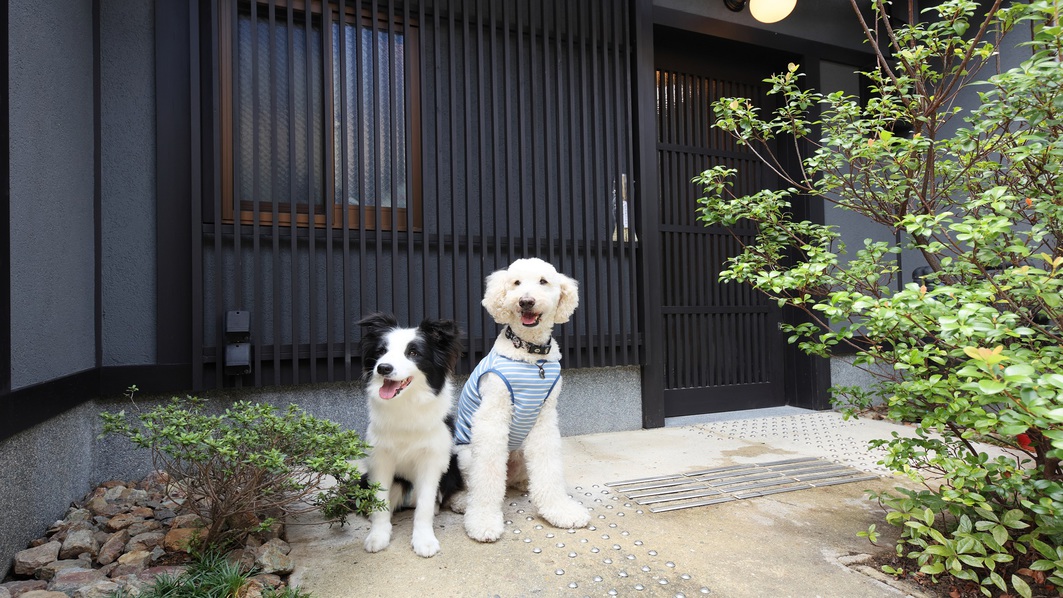 【ペット専用】朝食弁当＆近くの豪華浴場券付　客室に小型〜大型犬のわんちゃんも一緒に