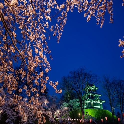 *高田城/水堀に映える夜桜の幻想的な姿から、日本三大夜桜の一つにも数えられています。