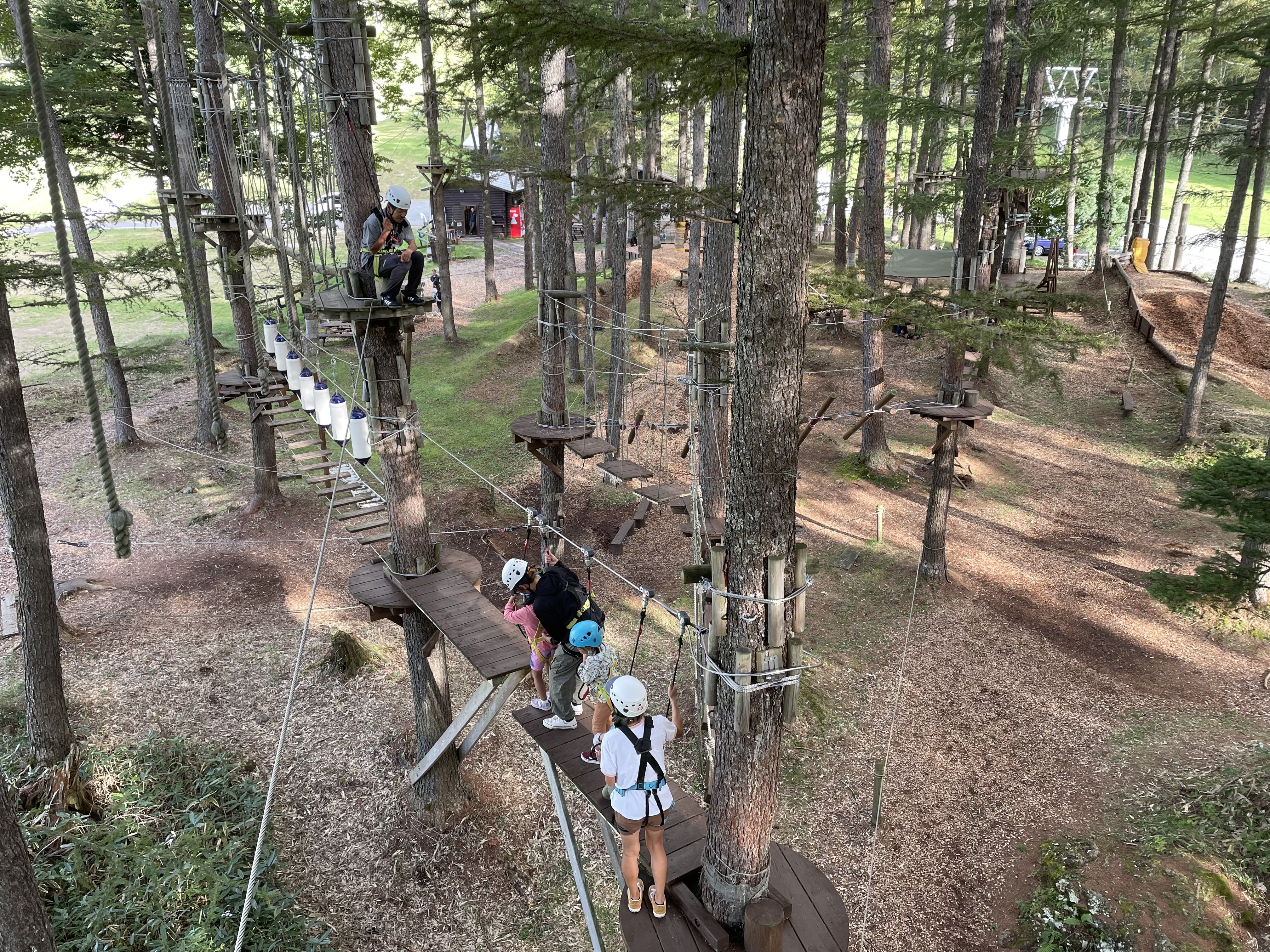 ツリーアドベンチャー