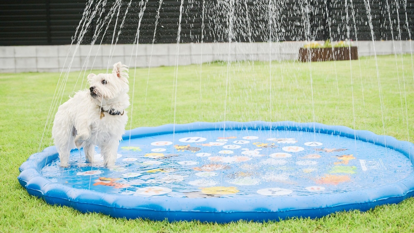 【素泊まりプラン】★お好きな食材を自由に持ち込みOK★