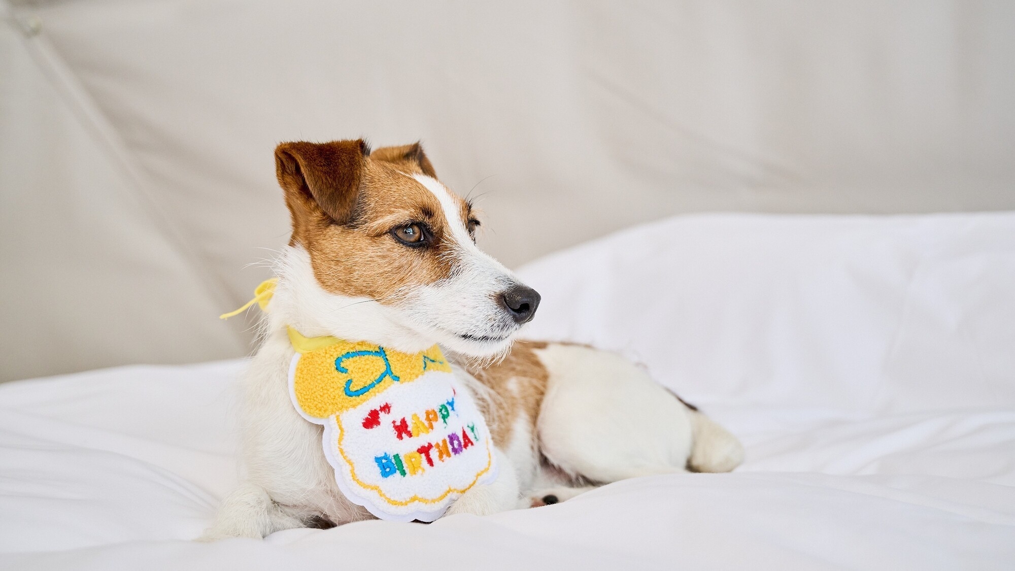 【記念日】バースデーバルーン特典付き素泊まりプラン★お好きな食材を自由に持ち込みOK