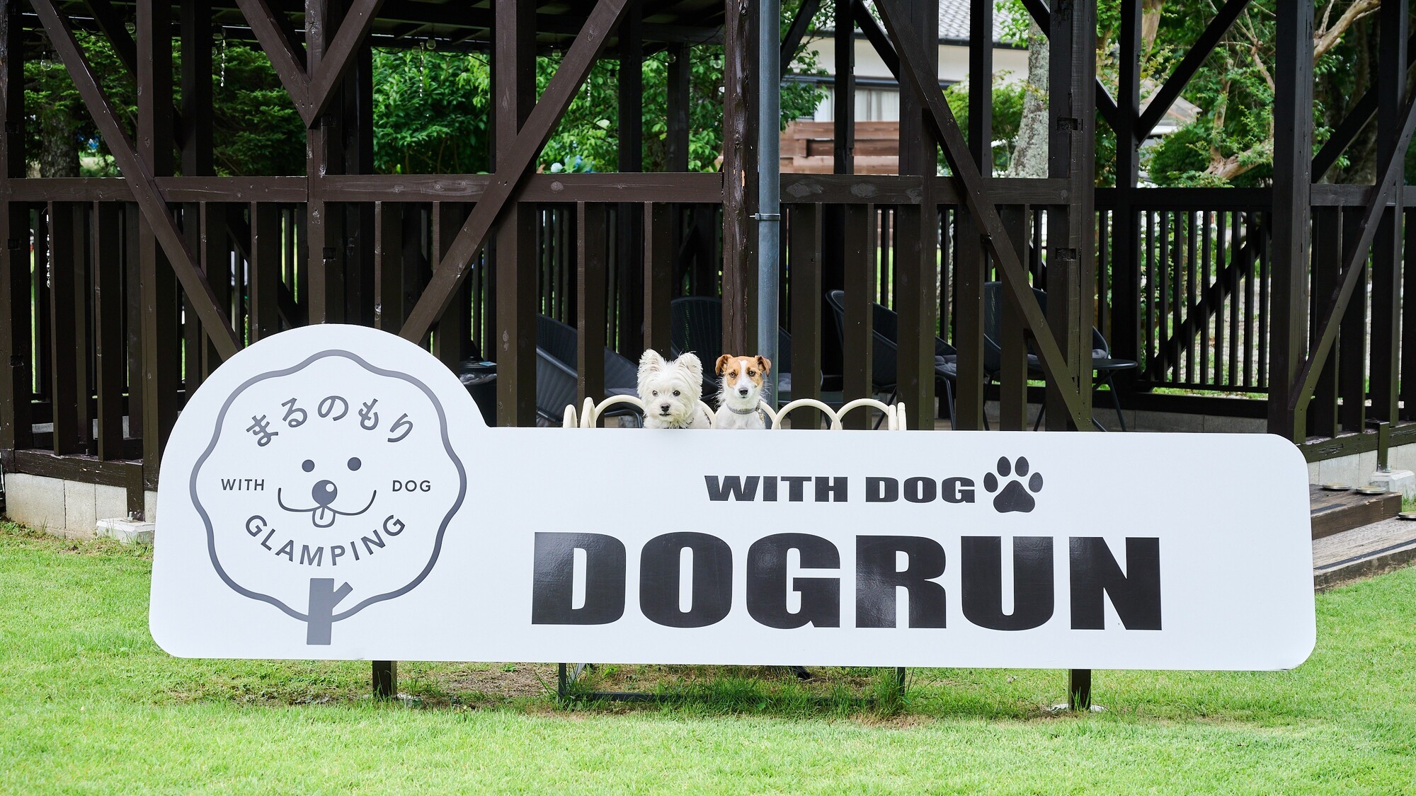 天然芝の共用ドッグラン