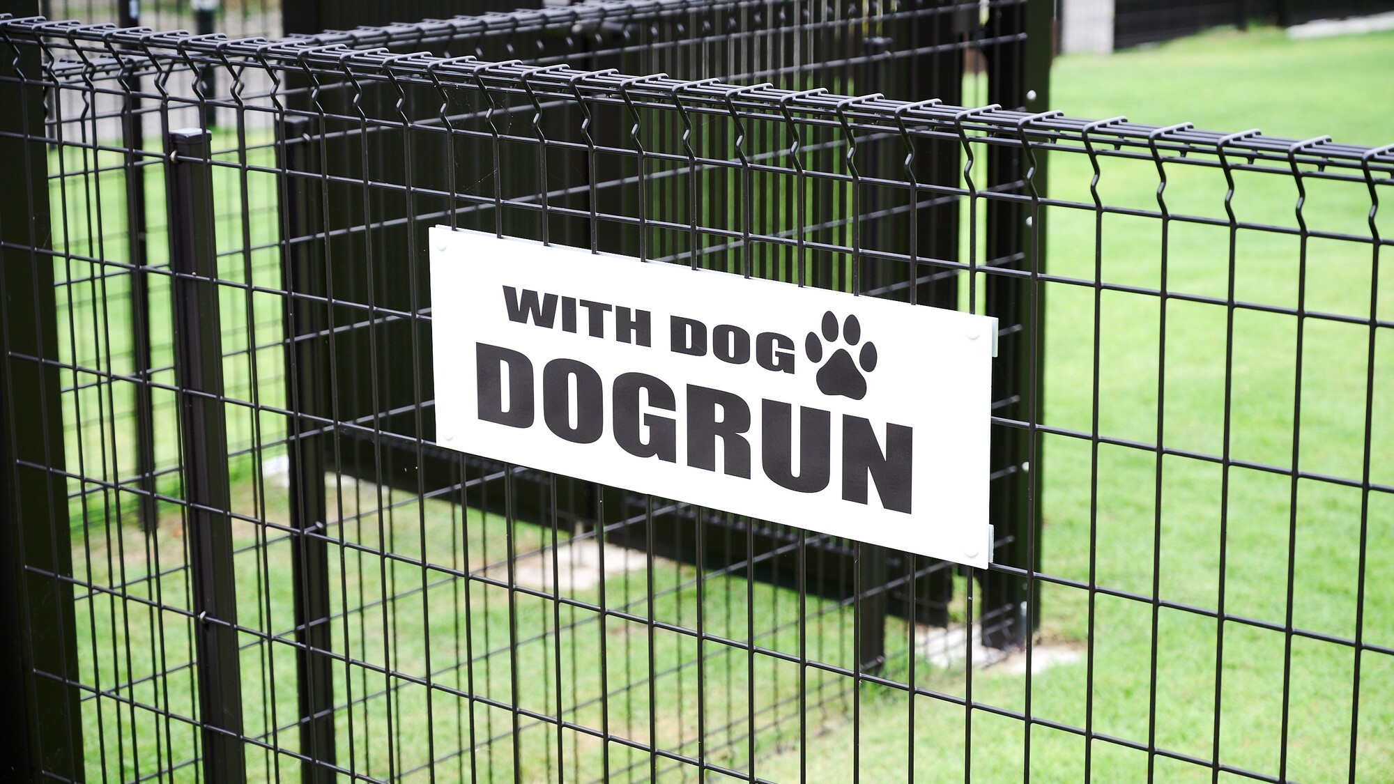 天然芝の共用ドッグラン