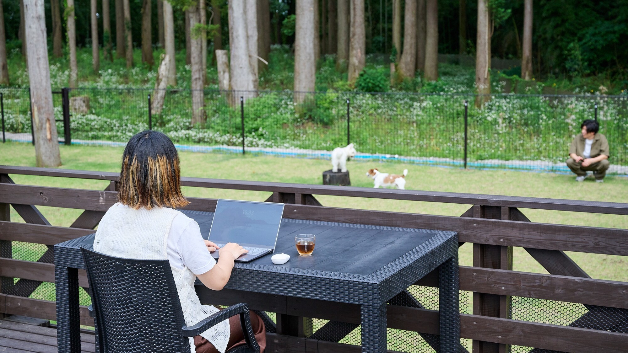 B　デッキ・専用ドッグラン・ドームテント