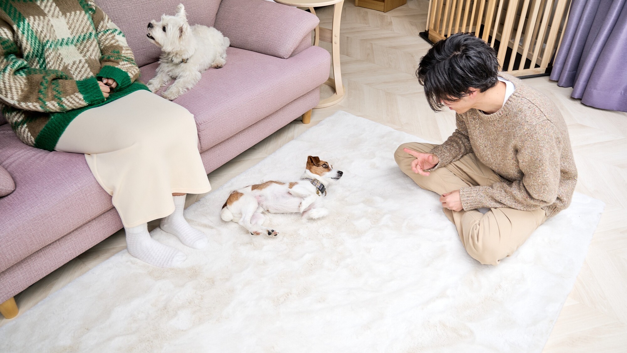 愛犬とのご滞在イメージ