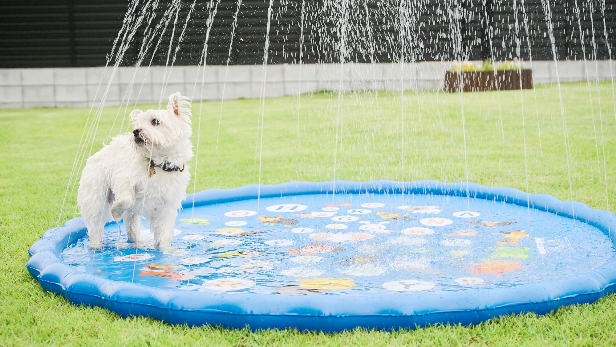 水遊び遊具もご用意しております。