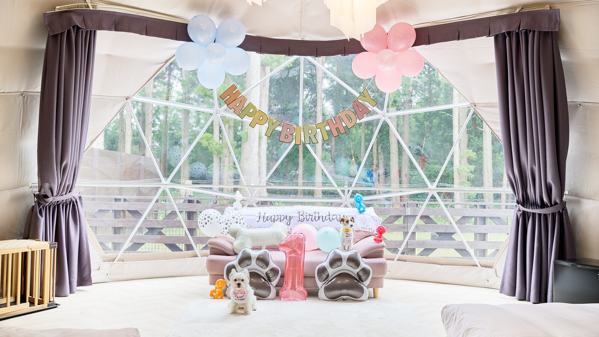 バースデープラン装飾イメージ