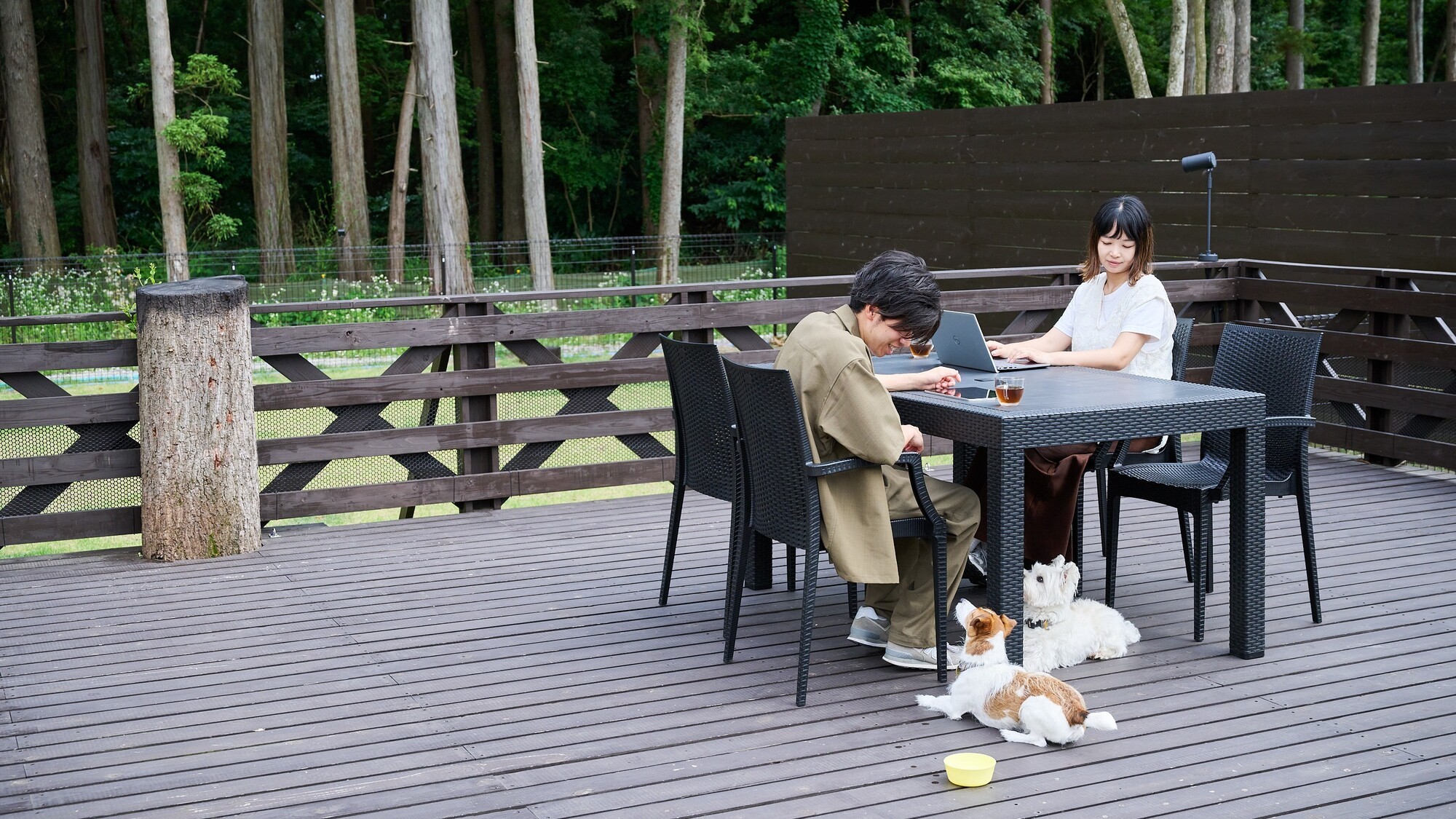 B　デッキ・専用ドッグラン・ドームテント