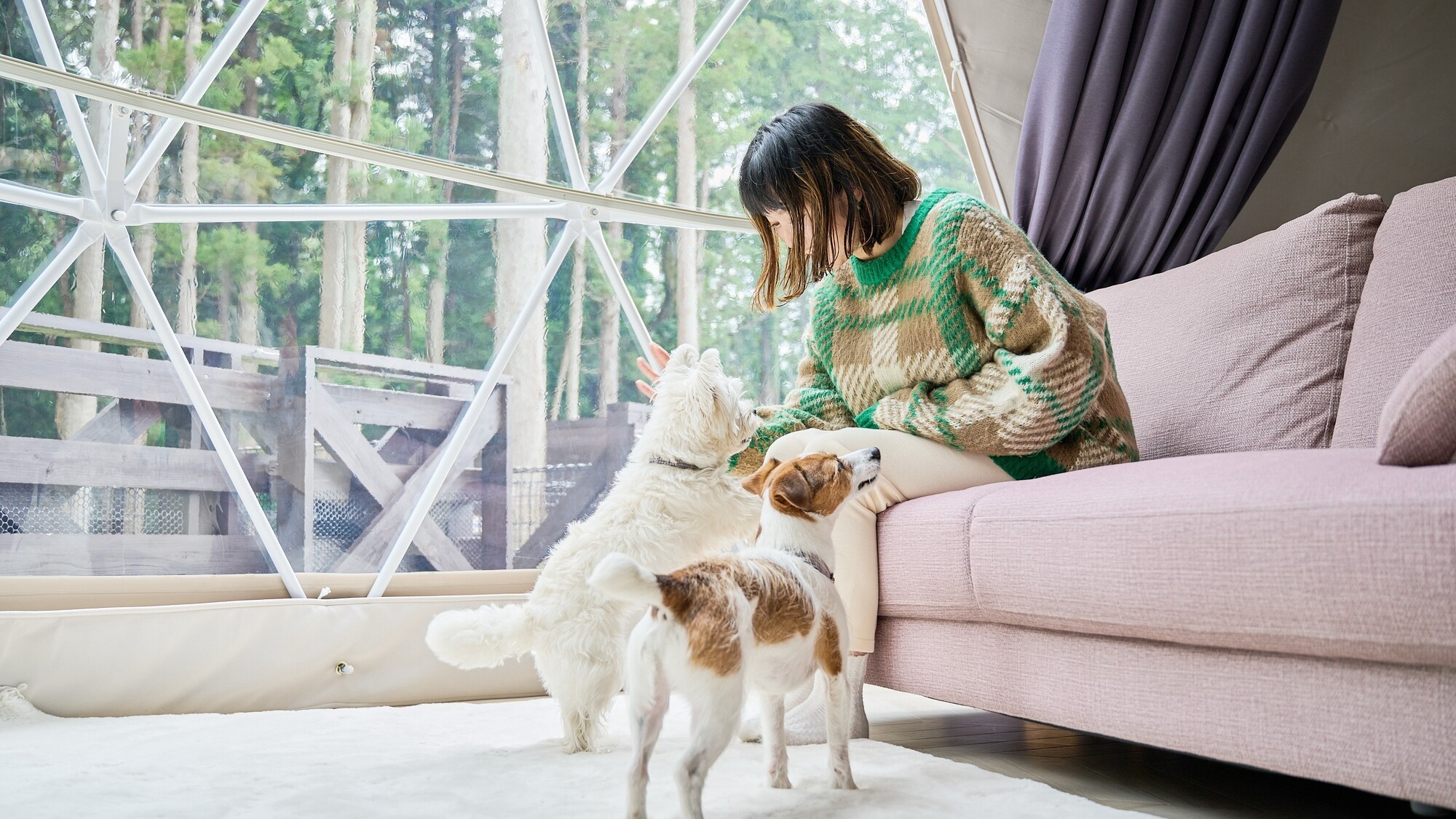 ドームテント内観