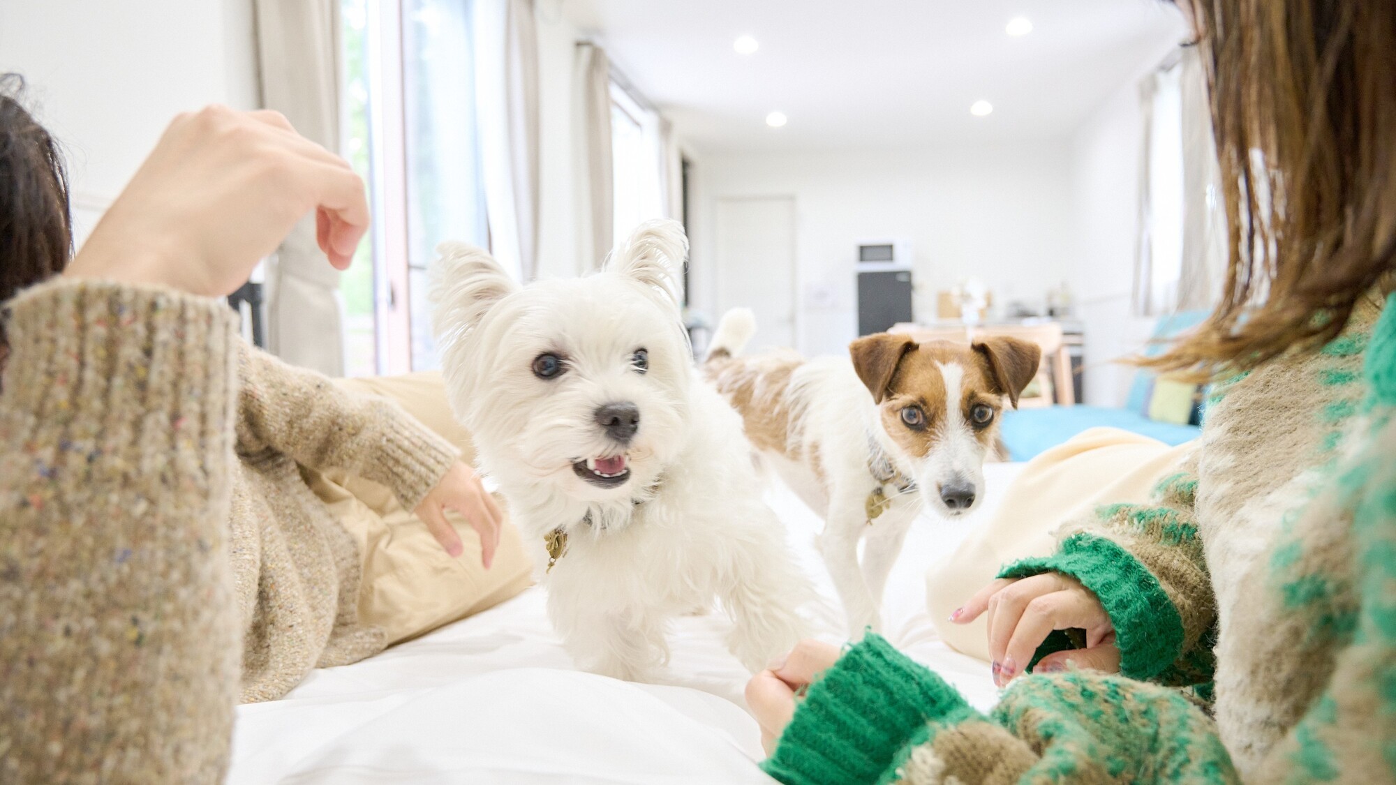 トレーラー内観