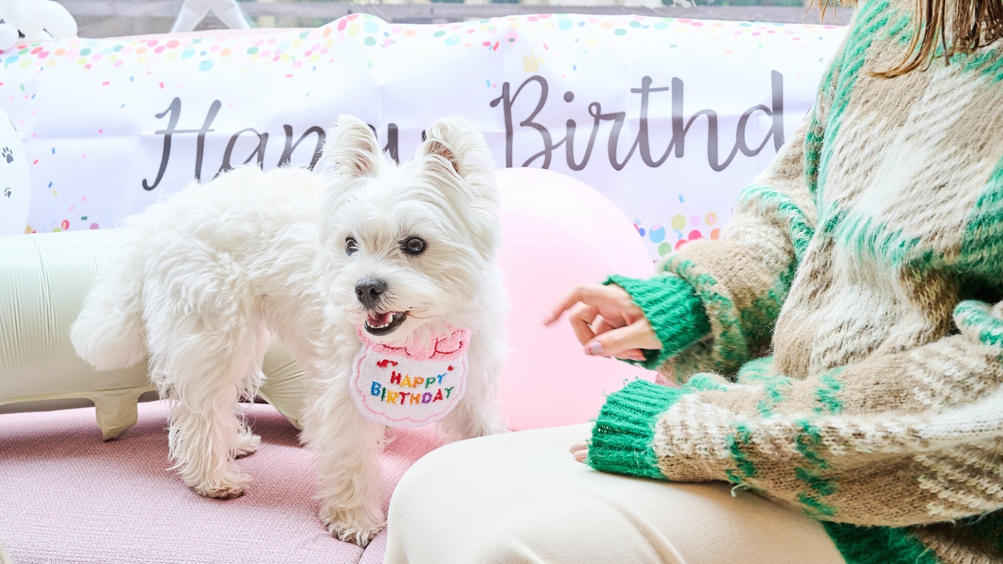 バースデープラン装飾イメージ