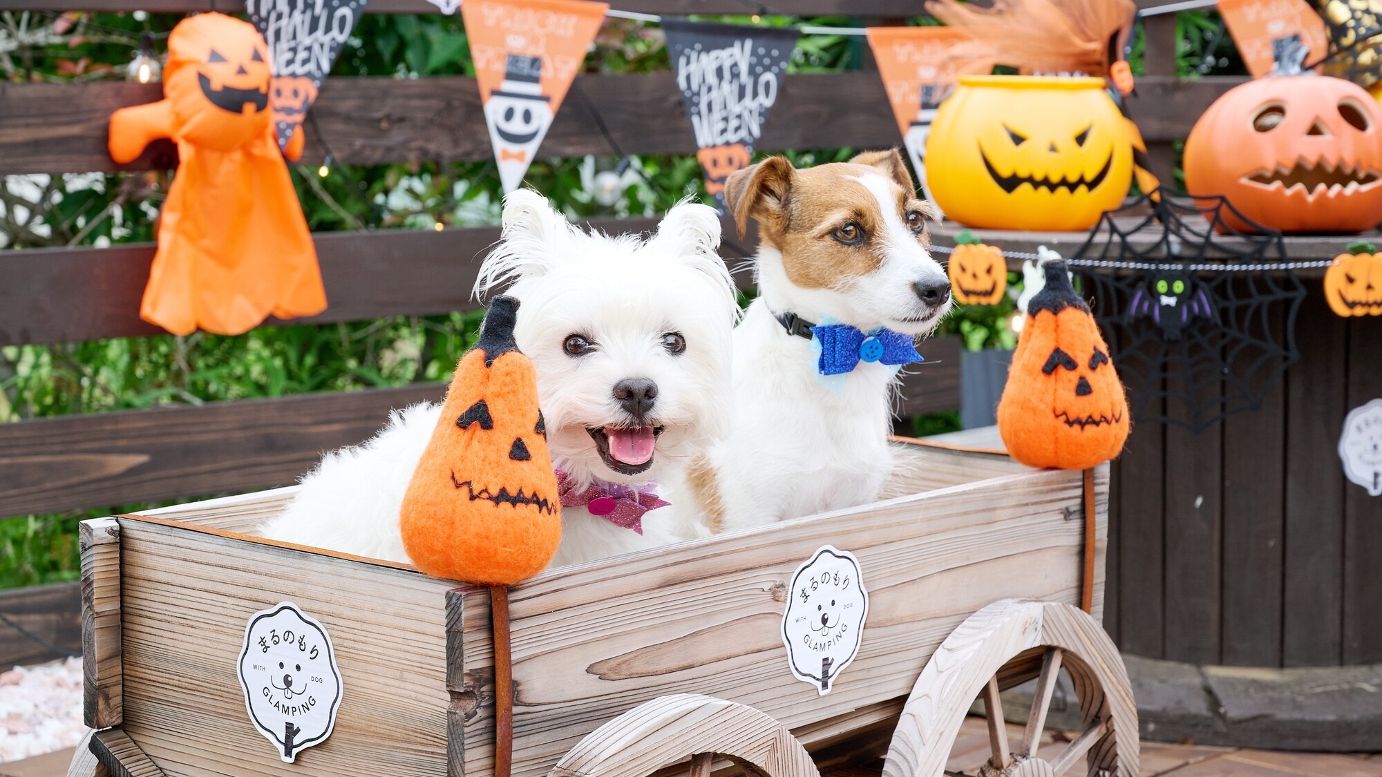 季節のフォトスポット一例