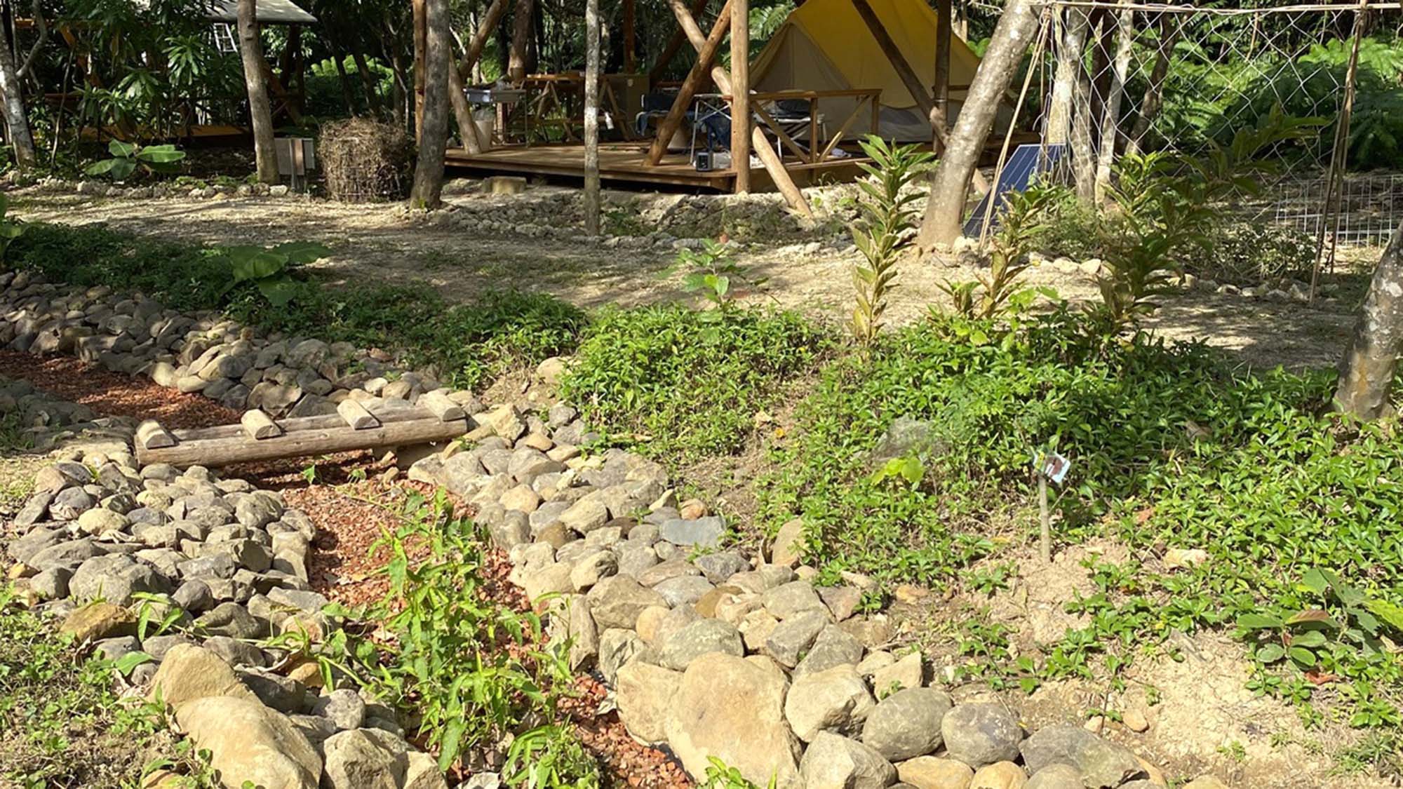 ・【パーマカルチャー】当施設のろ過装置は水質を渓流レベルまで整え、生物の多様性を育みます