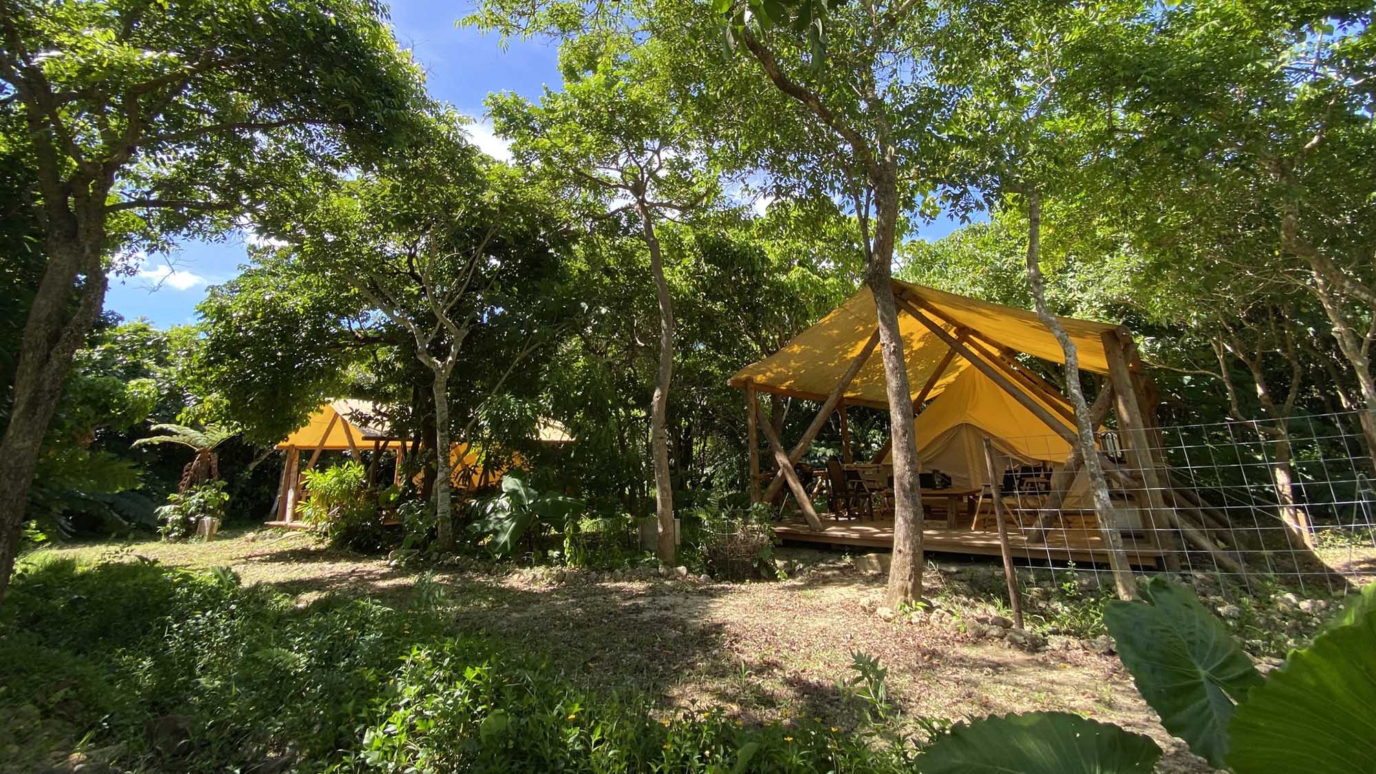 ・【グランピングテント】〈1日2組限定〉西表石垣国立公園の森の中に佇むグランピング施設