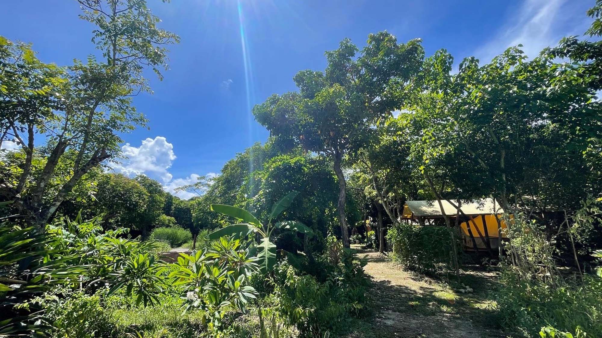 ・【テント周辺】川に隣接しているため、四季折々でさまざまな生き物たちに遭遇するかも