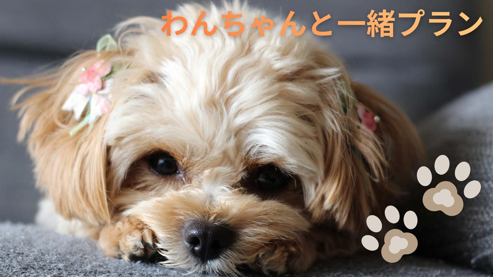 【イチゴ狩り】わんちゃんと同部屋♪チェックアウト後にいちご狩りプラン★夕食は地魚定食