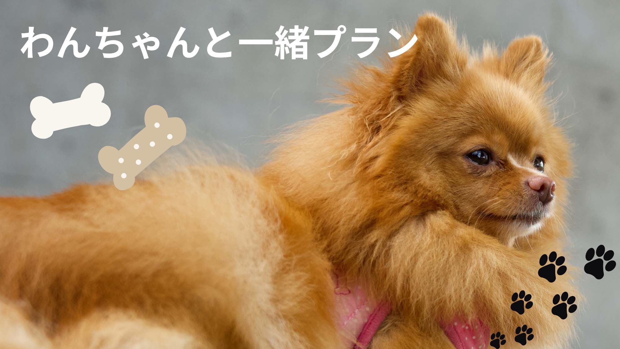 【わんちゃんと一緒：リーズナブルプラン】※ペット同伴専用プラン　地魚フライ定食−2食付ー