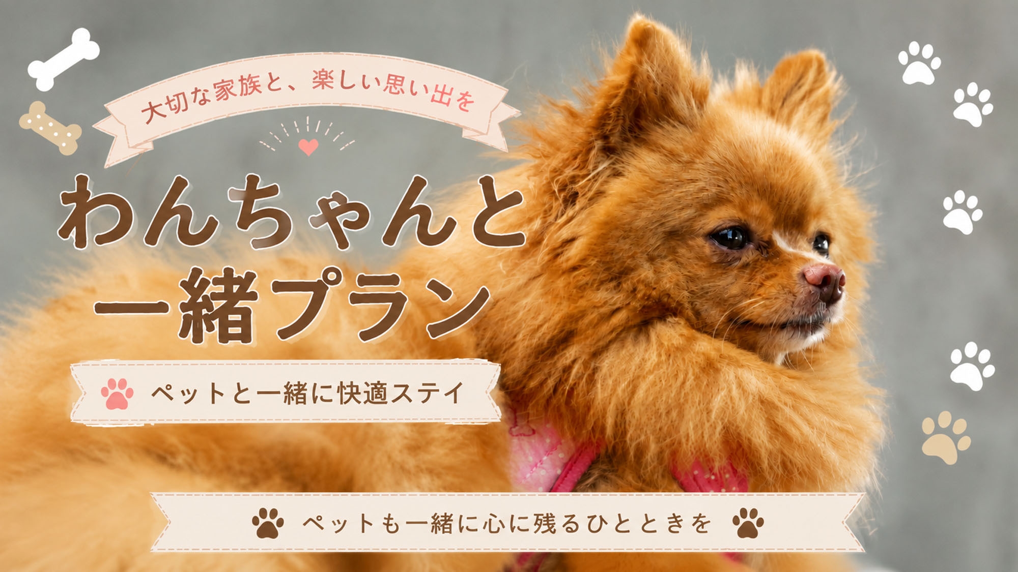 【わんちゃんと一緒：リーズナブルプラン】※ペット同伴専用プラン　地魚フライ定食−2食付ー