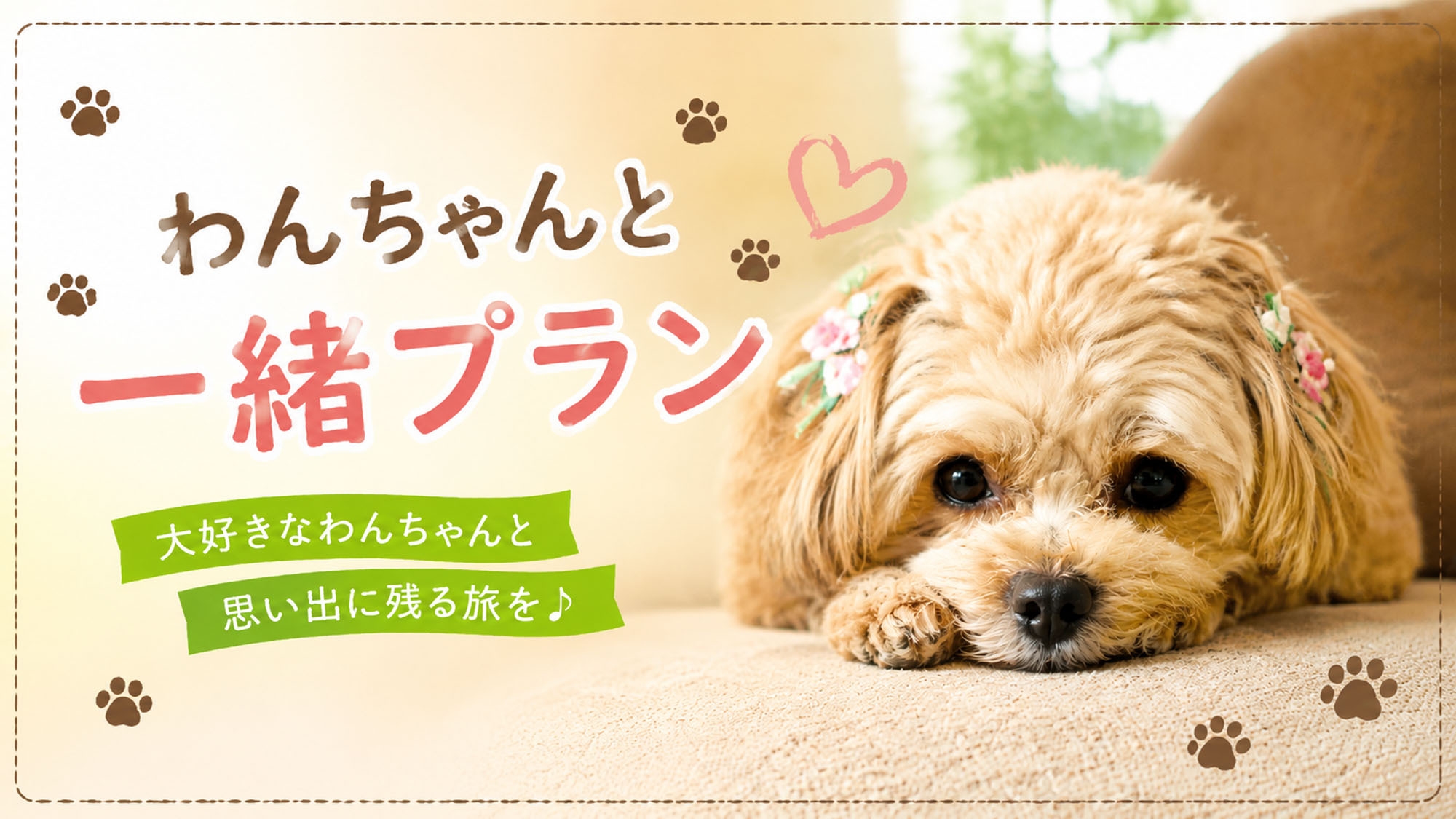 【直前割】コスパ最強！わんちゃんと一緒：リーズナブル※ペット同伴専用　地魚フライ定食−2食付ー