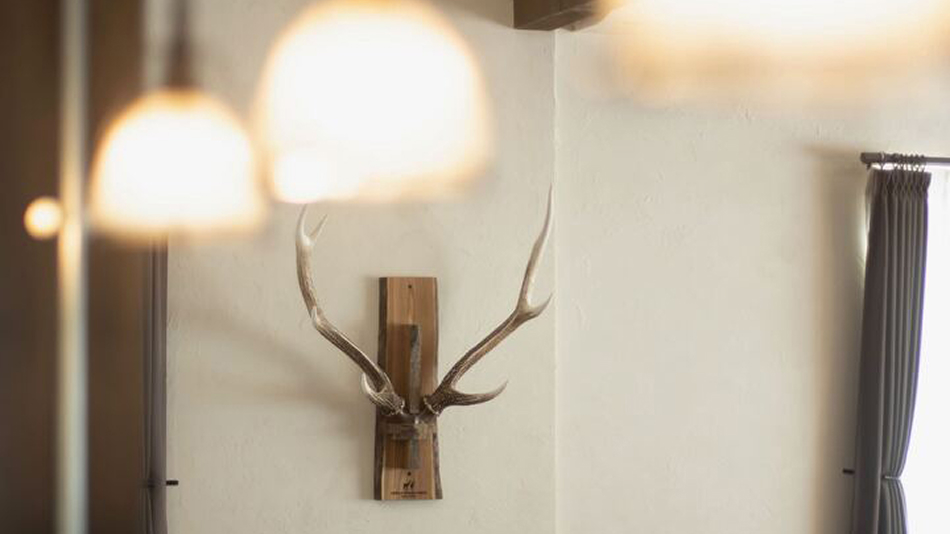 室内デコレーション