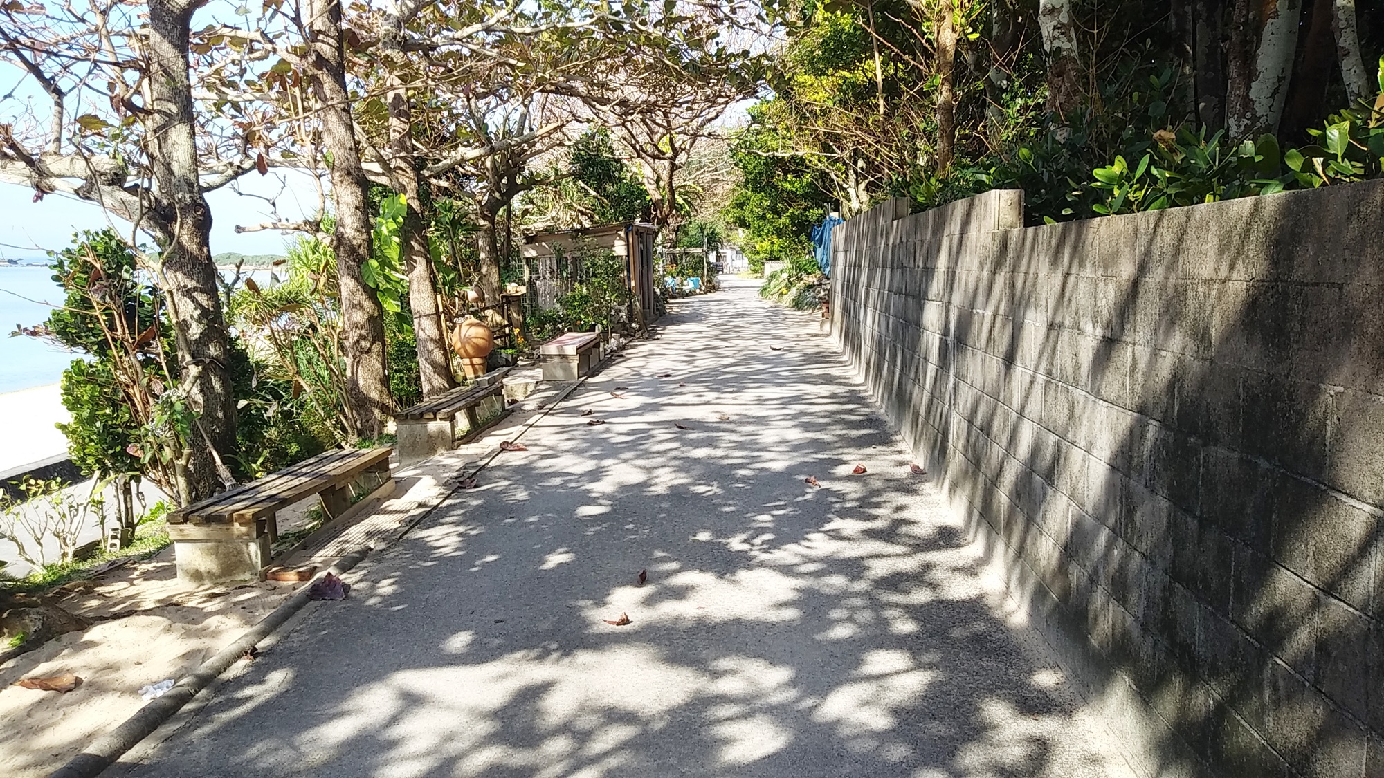 *【周辺】木々からの木漏れ日と吹き抜ける風が心地よい散歩道。