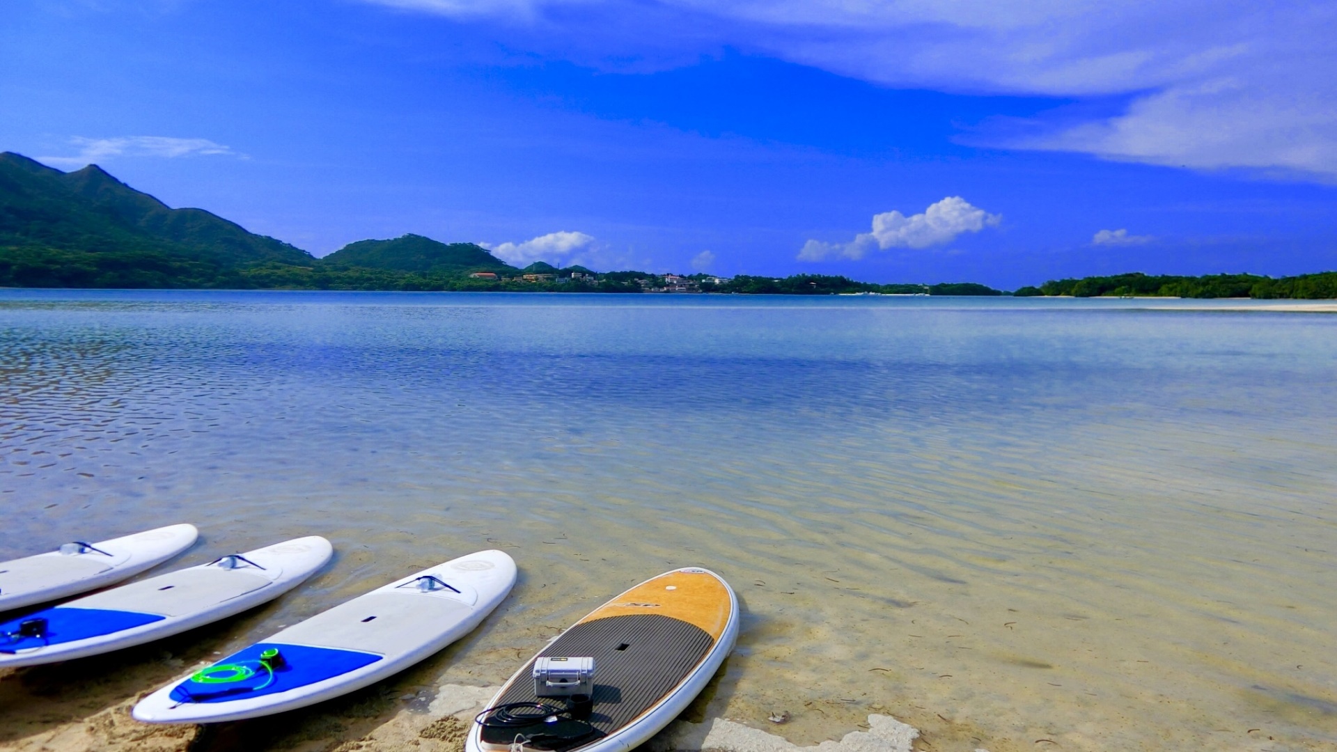 *【周辺】近くにはSUP体験が可能なマリンショップもございます。沖縄の海をご堪能ください。