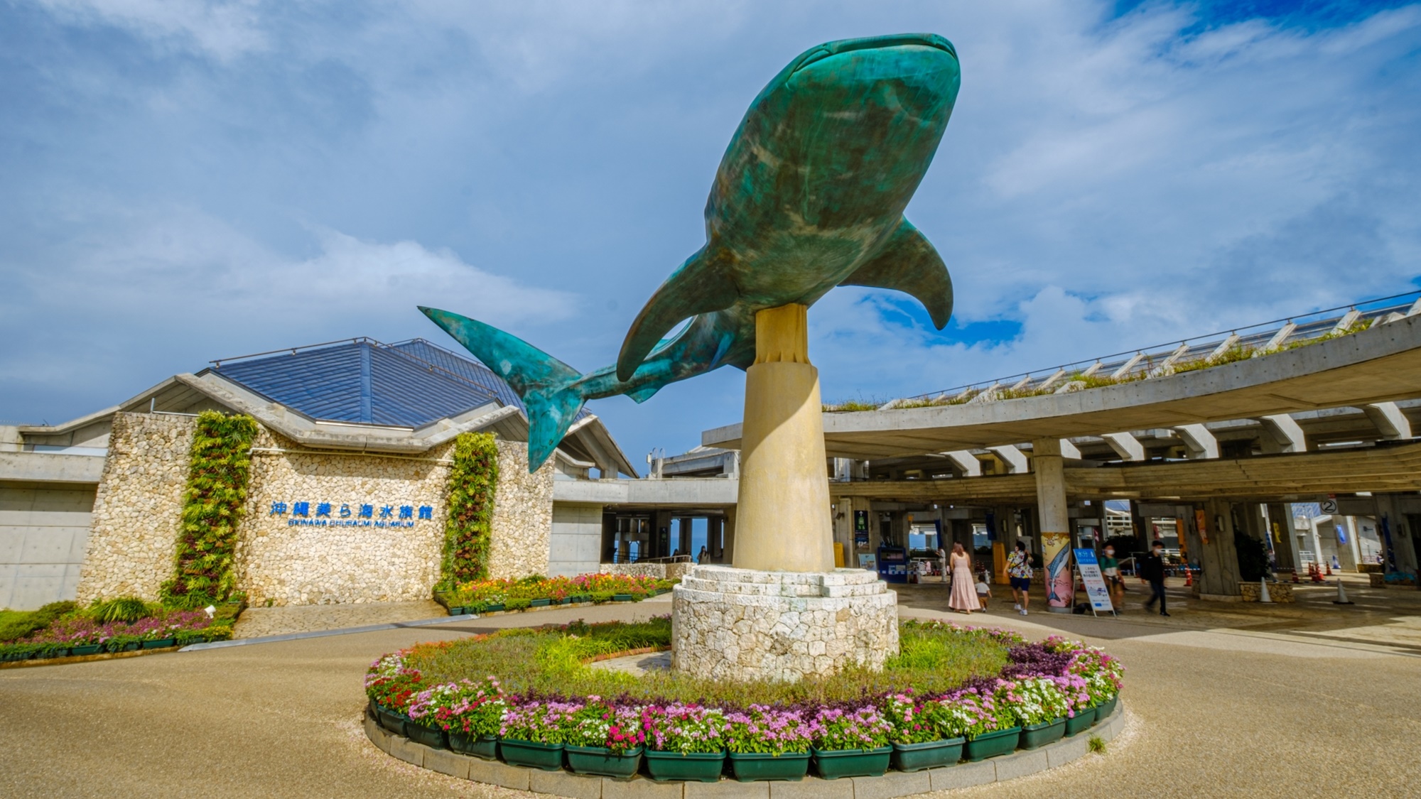 *【周辺】美ら海水族館/世界最大級の大水槽「黒潮の海」が有名です。