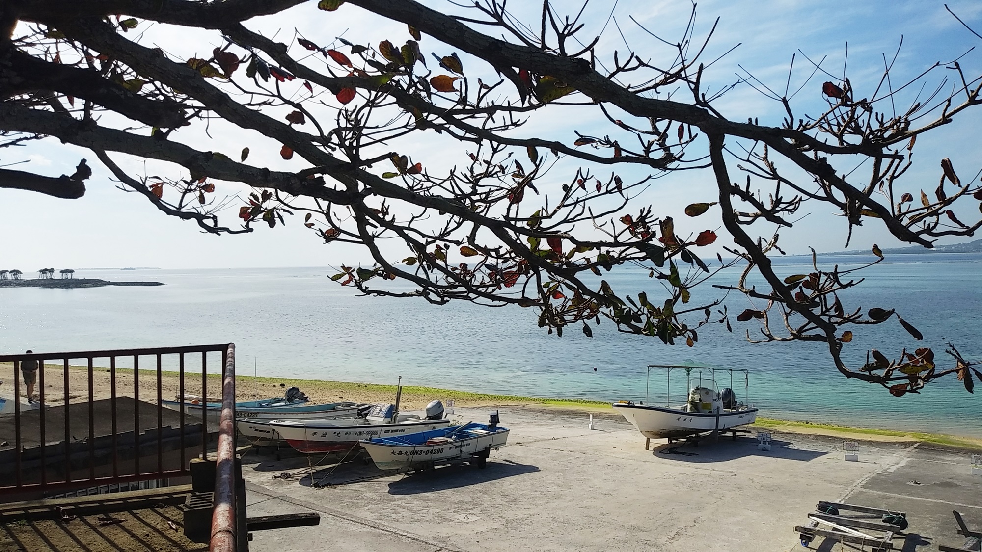 *【周辺】備瀬崎/美ら海水族館に近いので、観光客にも人気の遠浅ビーチです。